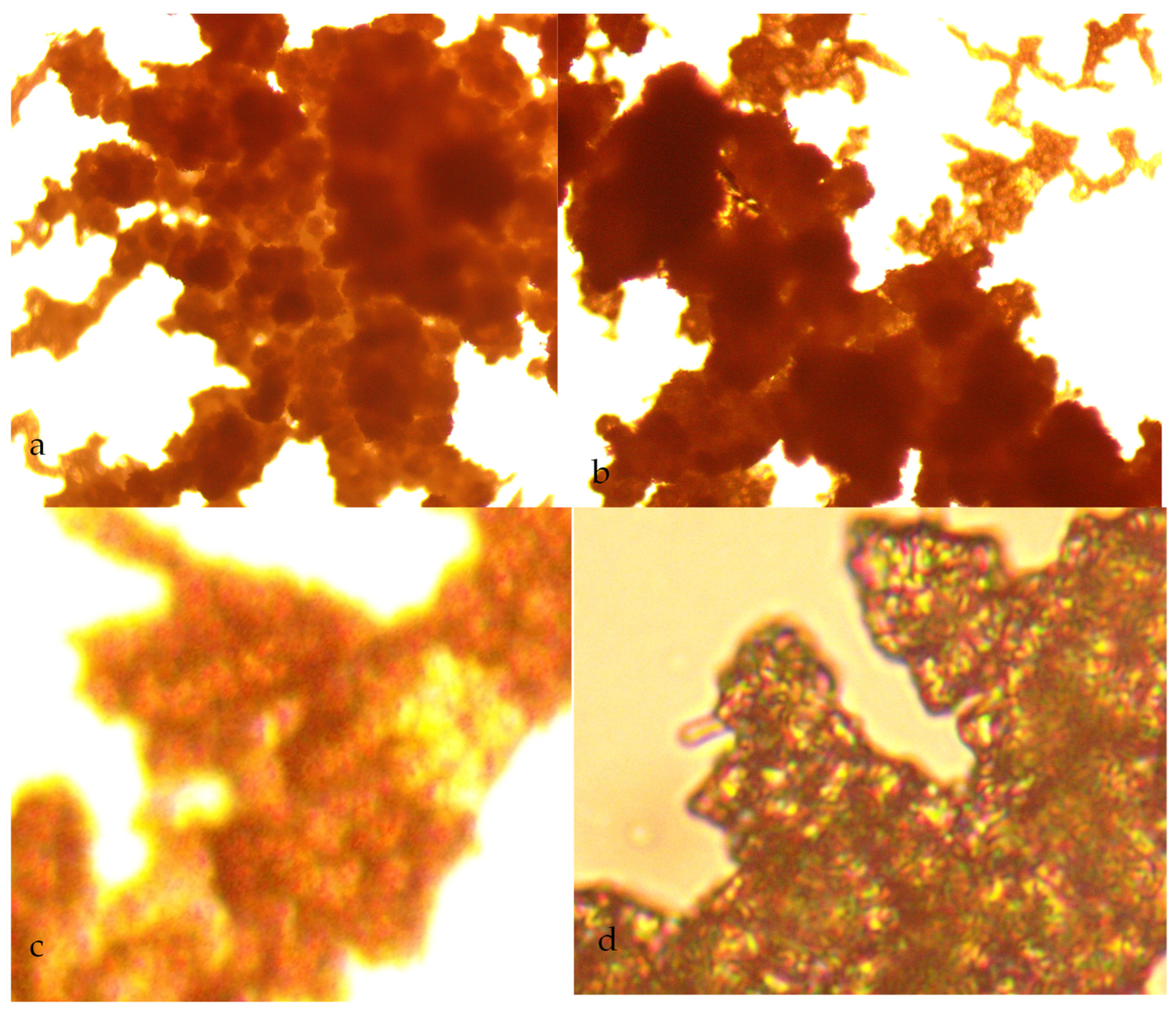 Water 15 00540 g006 Water 15 00540 g006