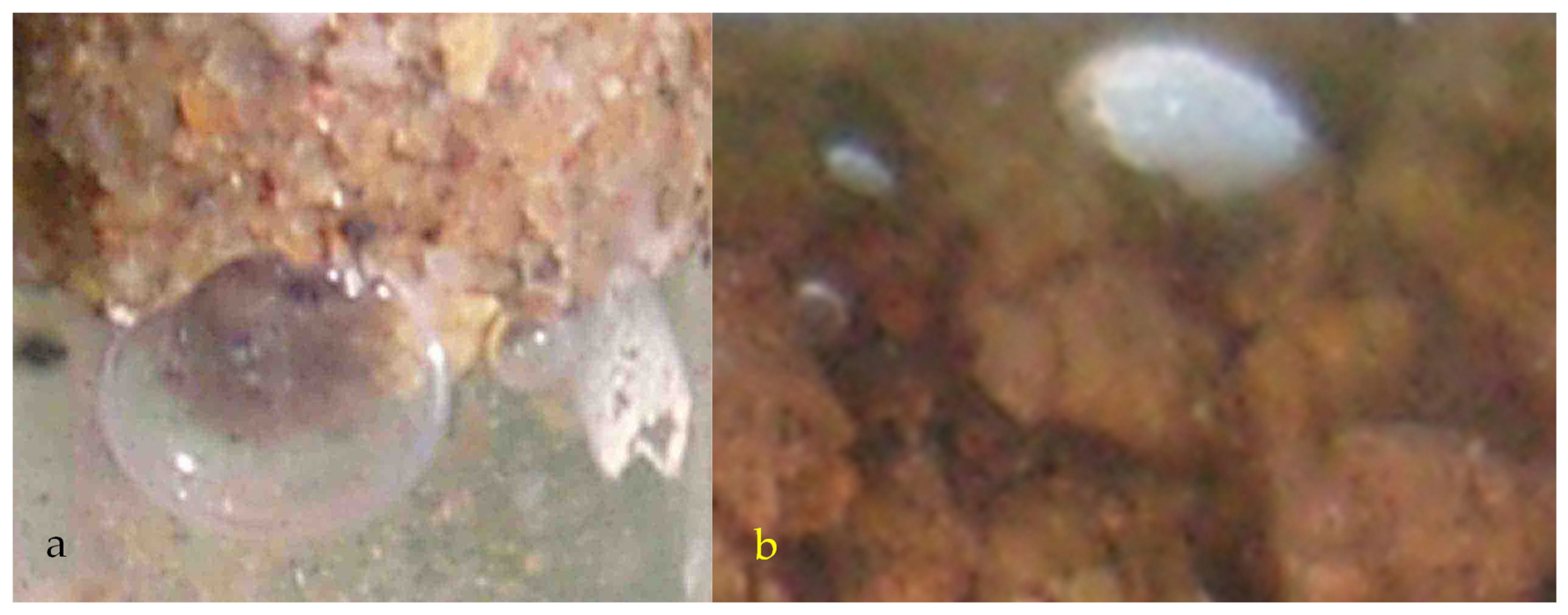 Water 15 00540 g0a16 Water 15 00540 g0a16