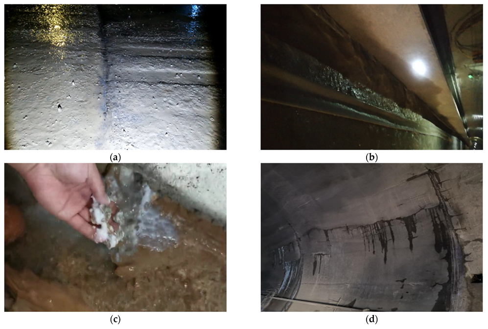 Water 15 00551 g008 Water 15 00551 g008