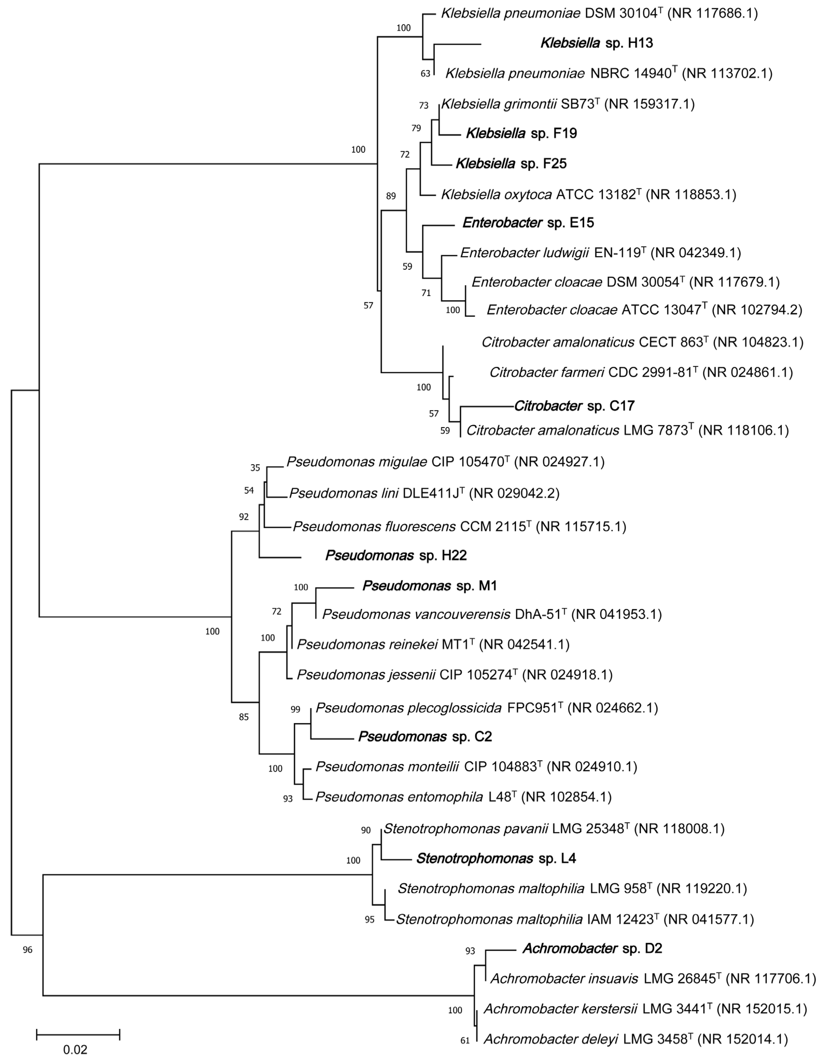 Water 15 00590 g001 Water 15 00590 g001