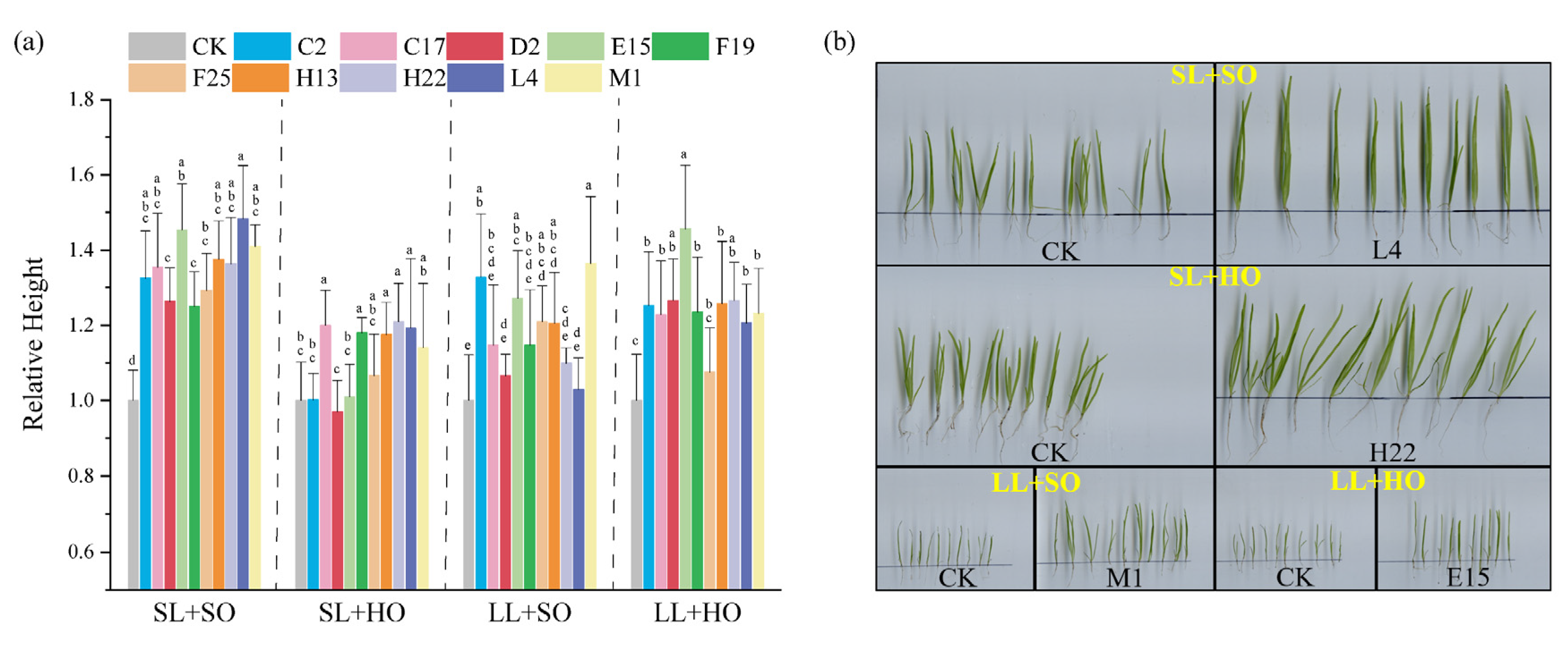 Water 15 00590 g002 Water 15 00590 g002
