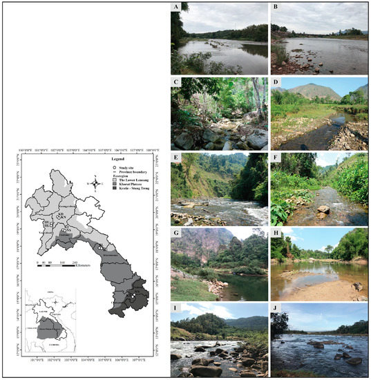 Benthic Macroinvertebrate Communities in Wadeable Rivers and 