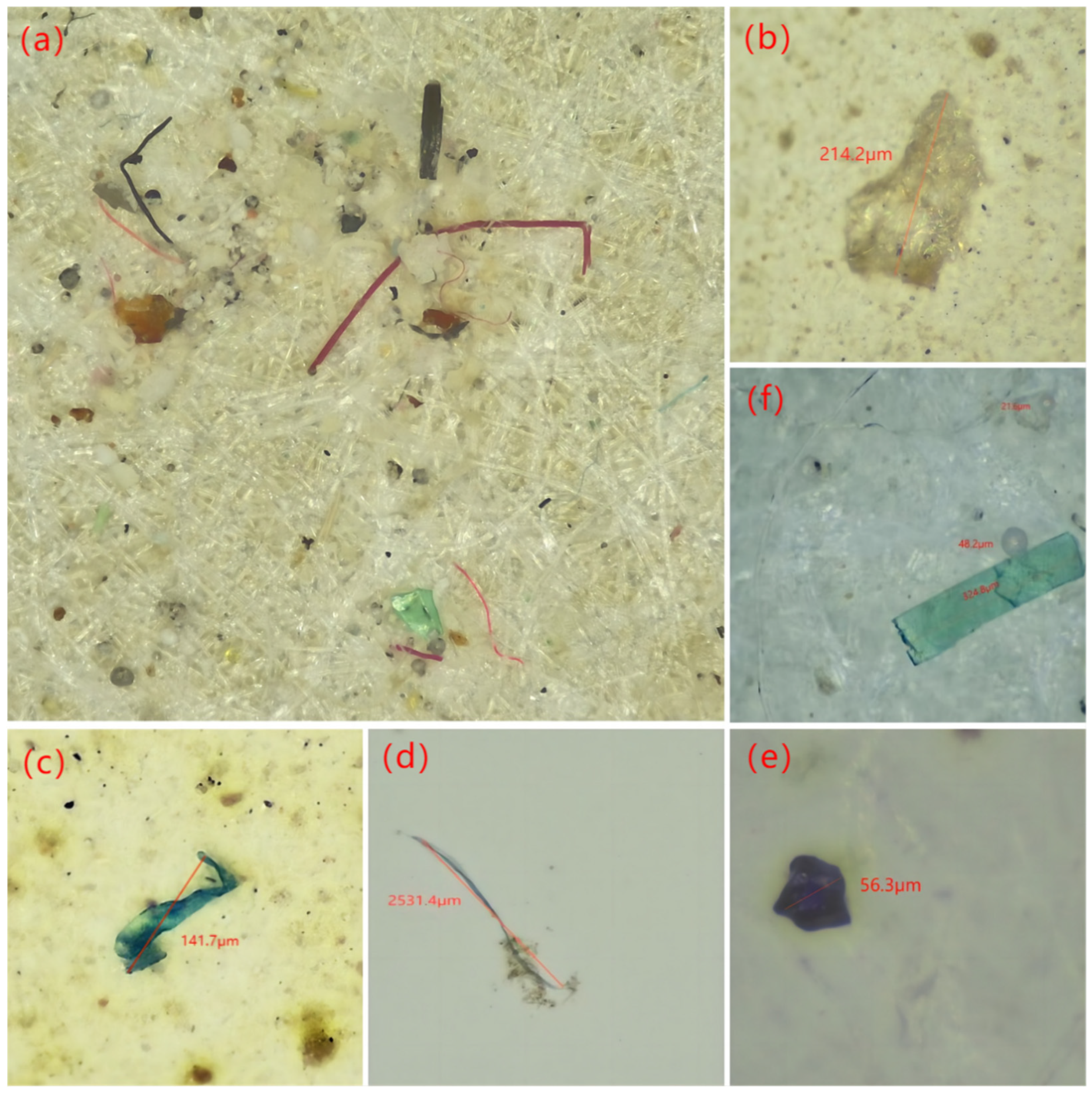 Water 15 00686 g005 550