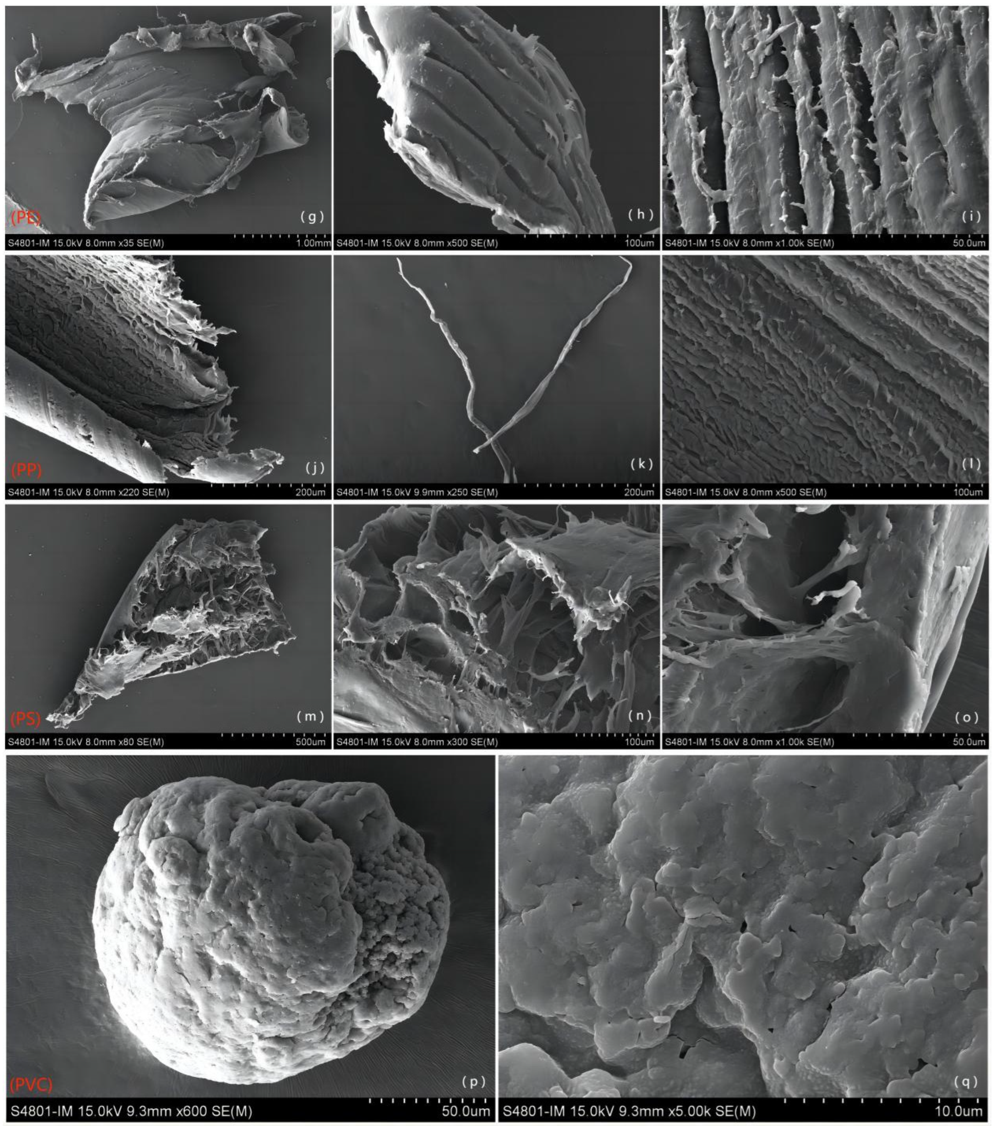 Water 15 00686 g006 550