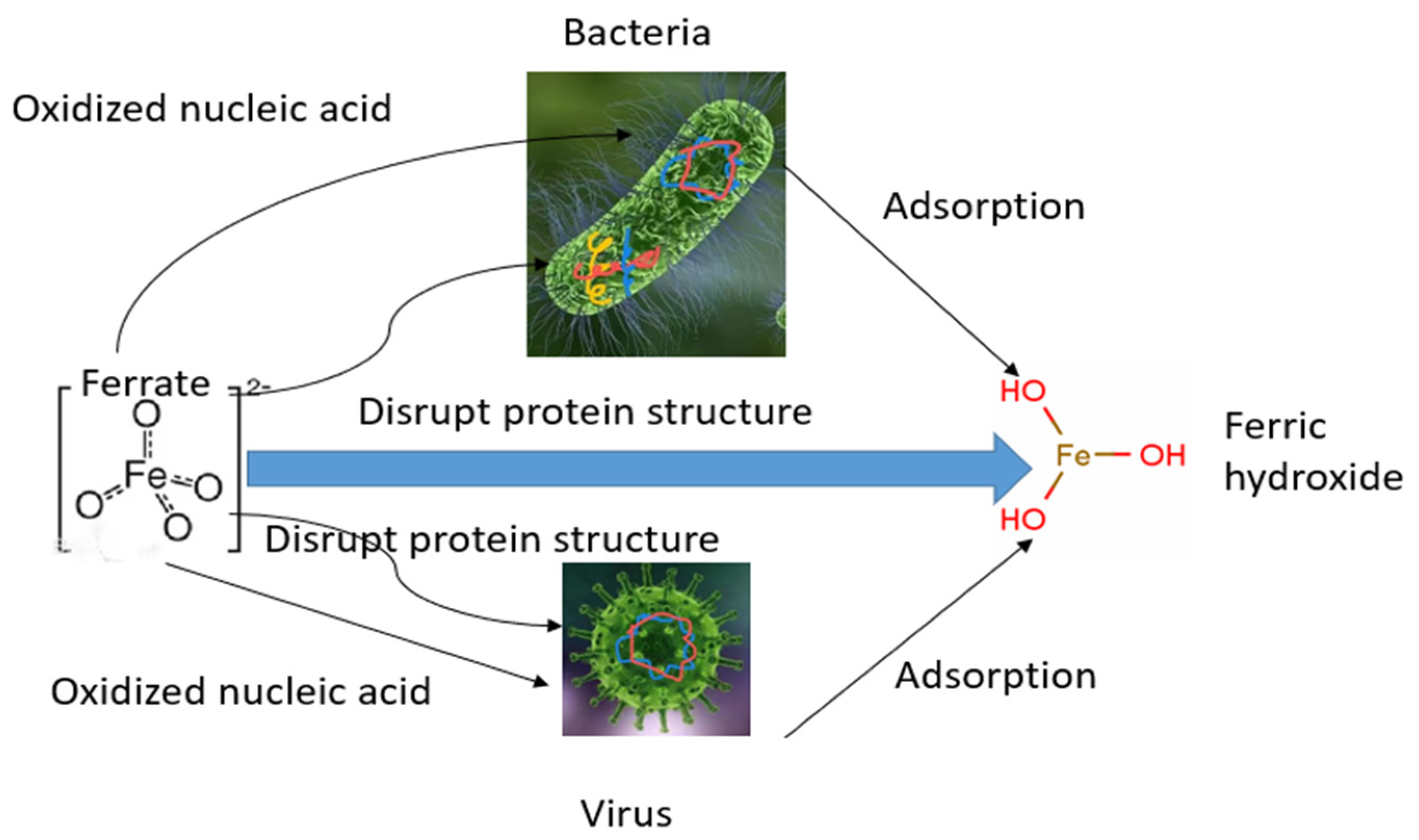 Water 15 00699 g004 Water 15 00699 g004