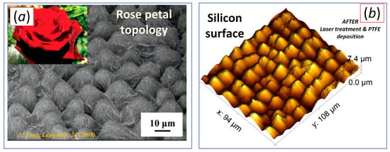 Materials Science Advance Brings A Rose Petal's Natural Texture To