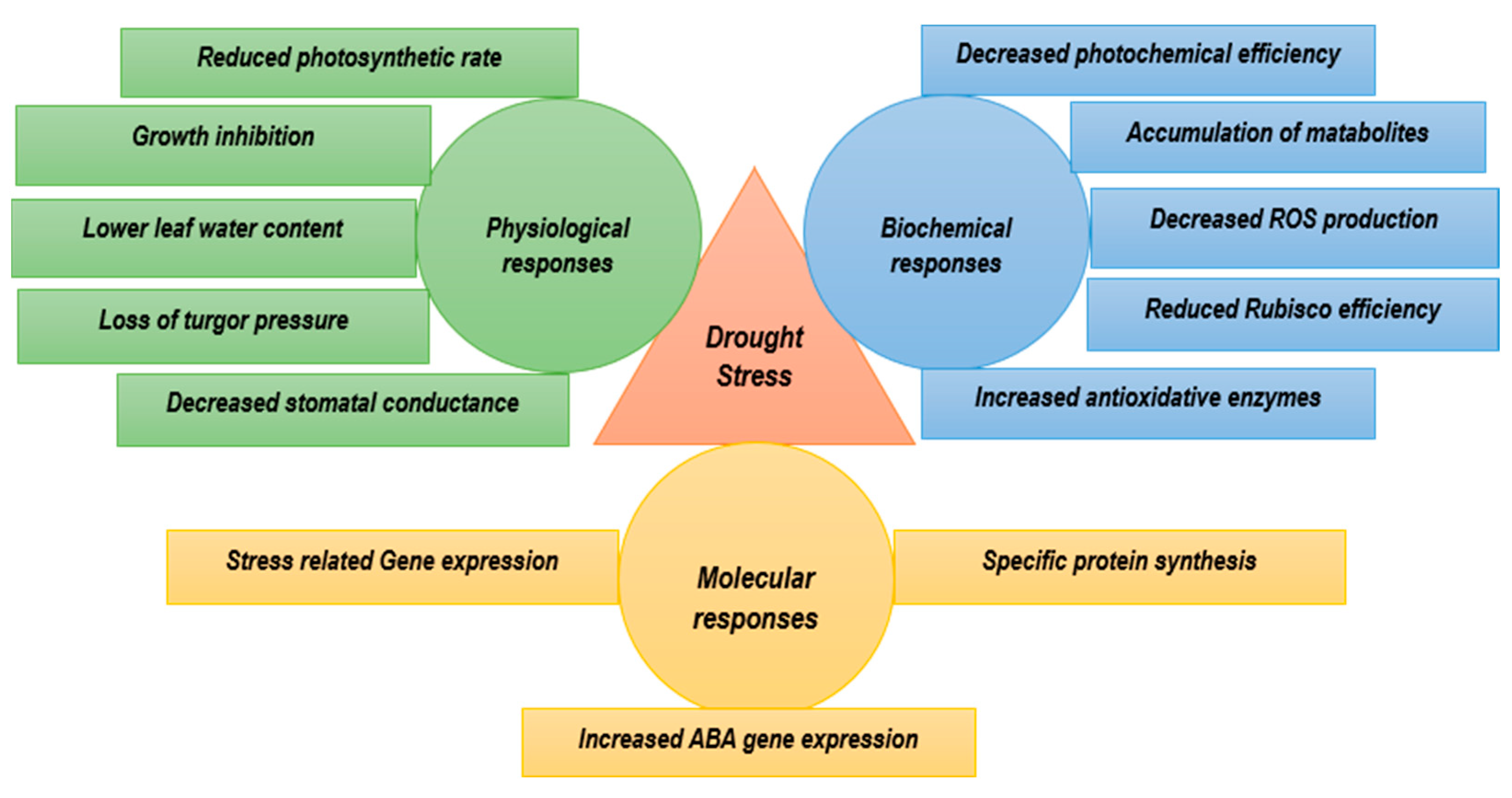 Water 15 00739 g002 Water 15 00739 g002