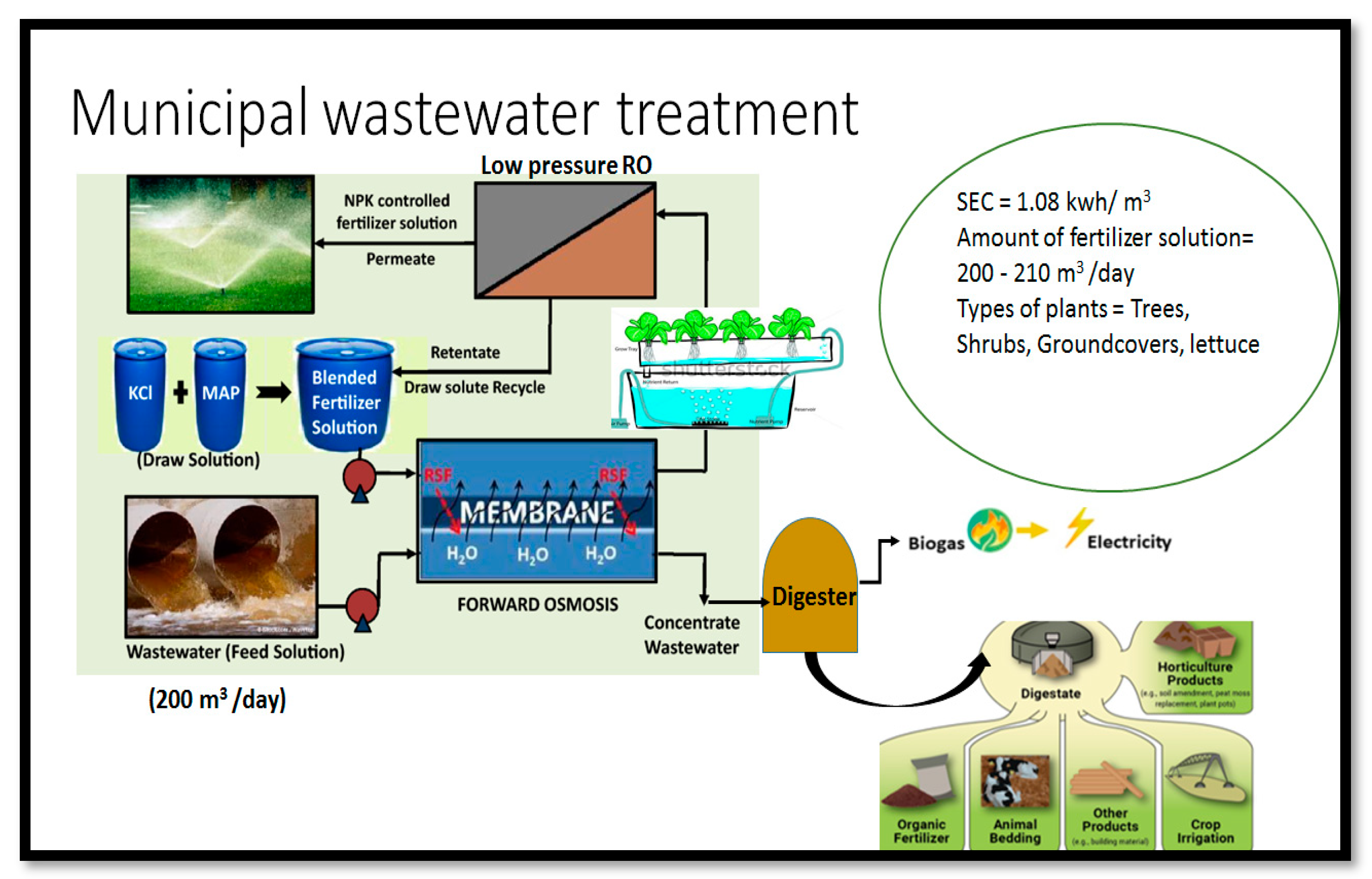 Water 15 00780 g011 Water 15 00780 g011