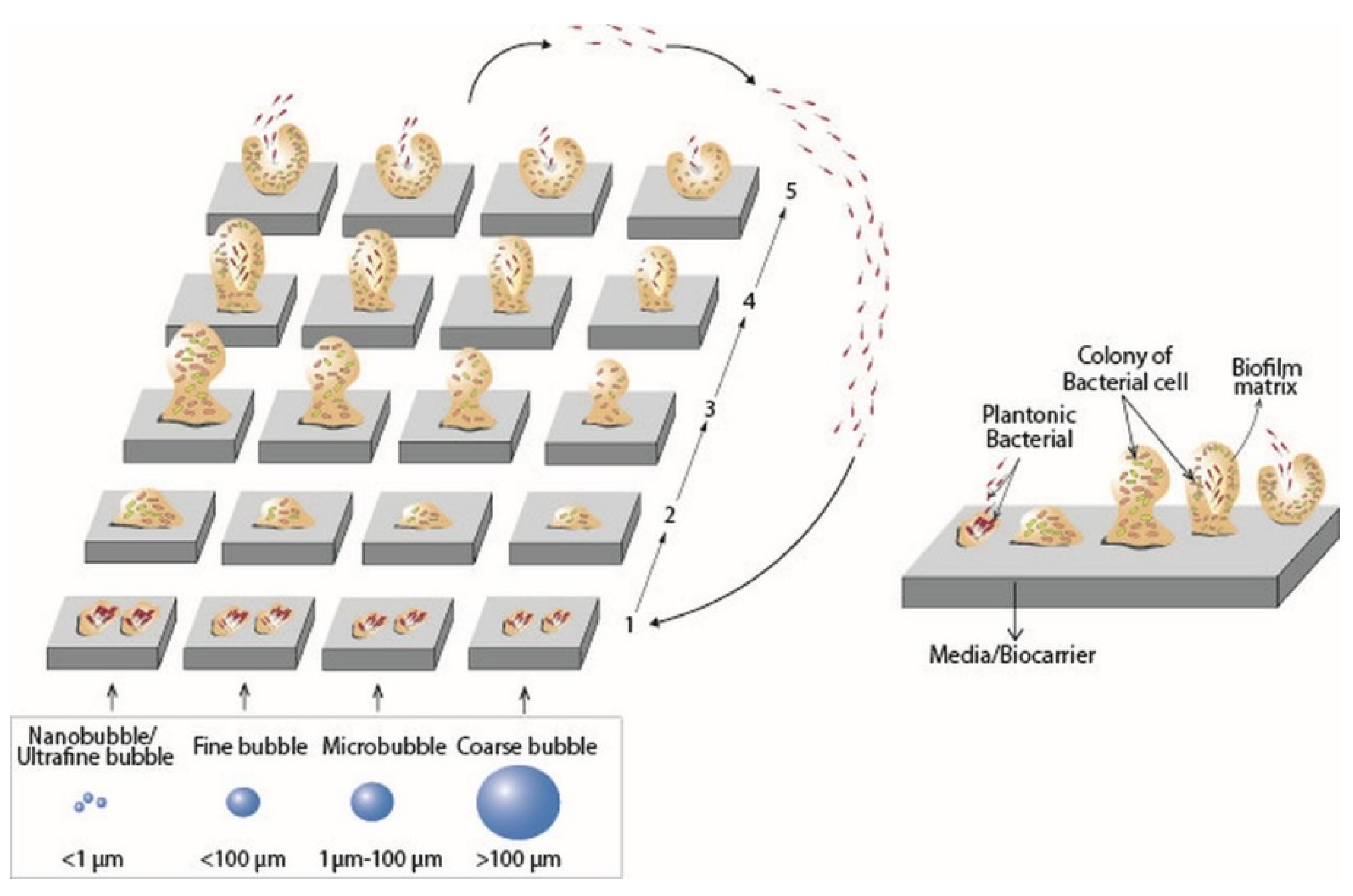 Water 15 00808 g004 Water 15 00808 g004