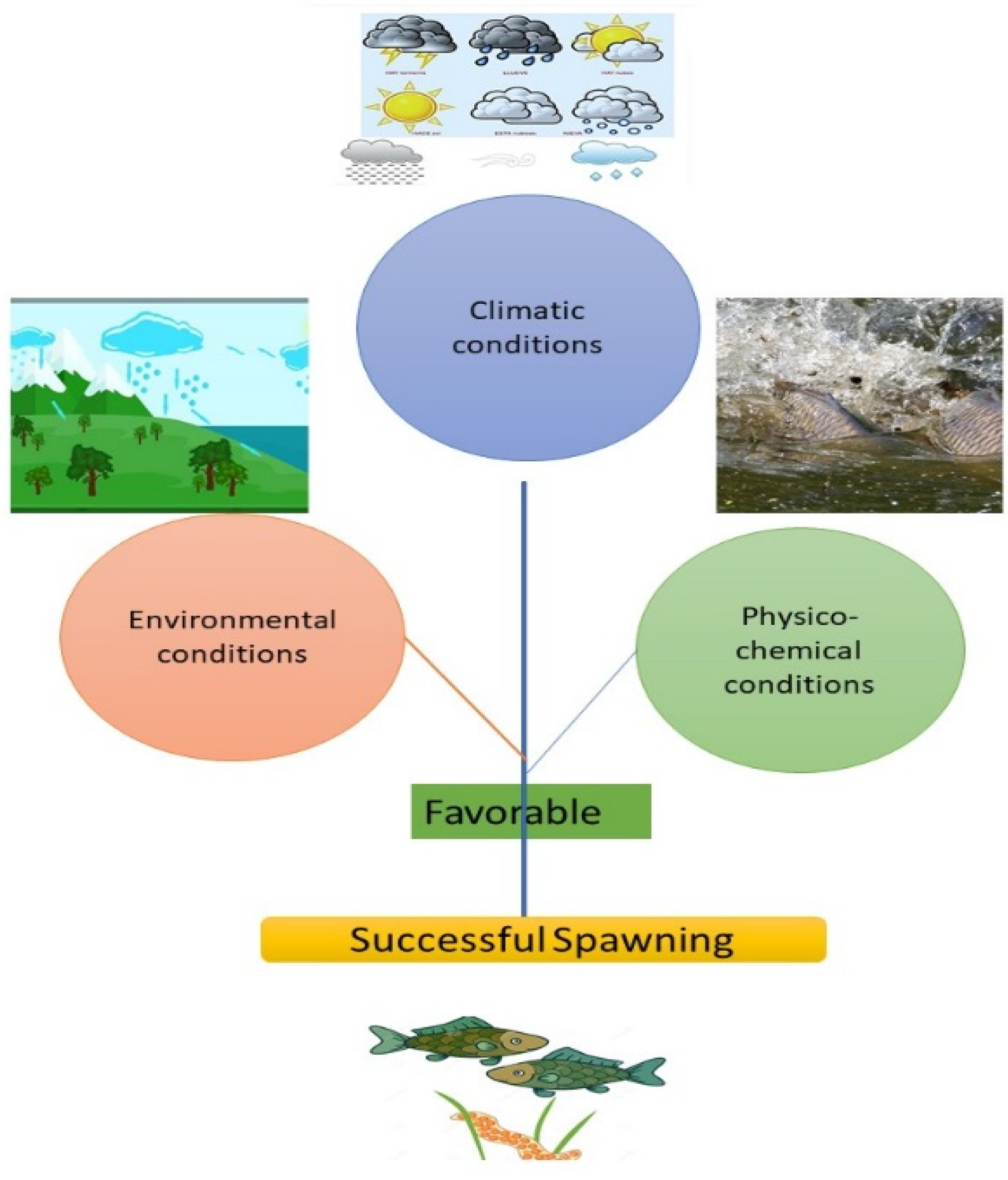 Water 15 00855 g009 550