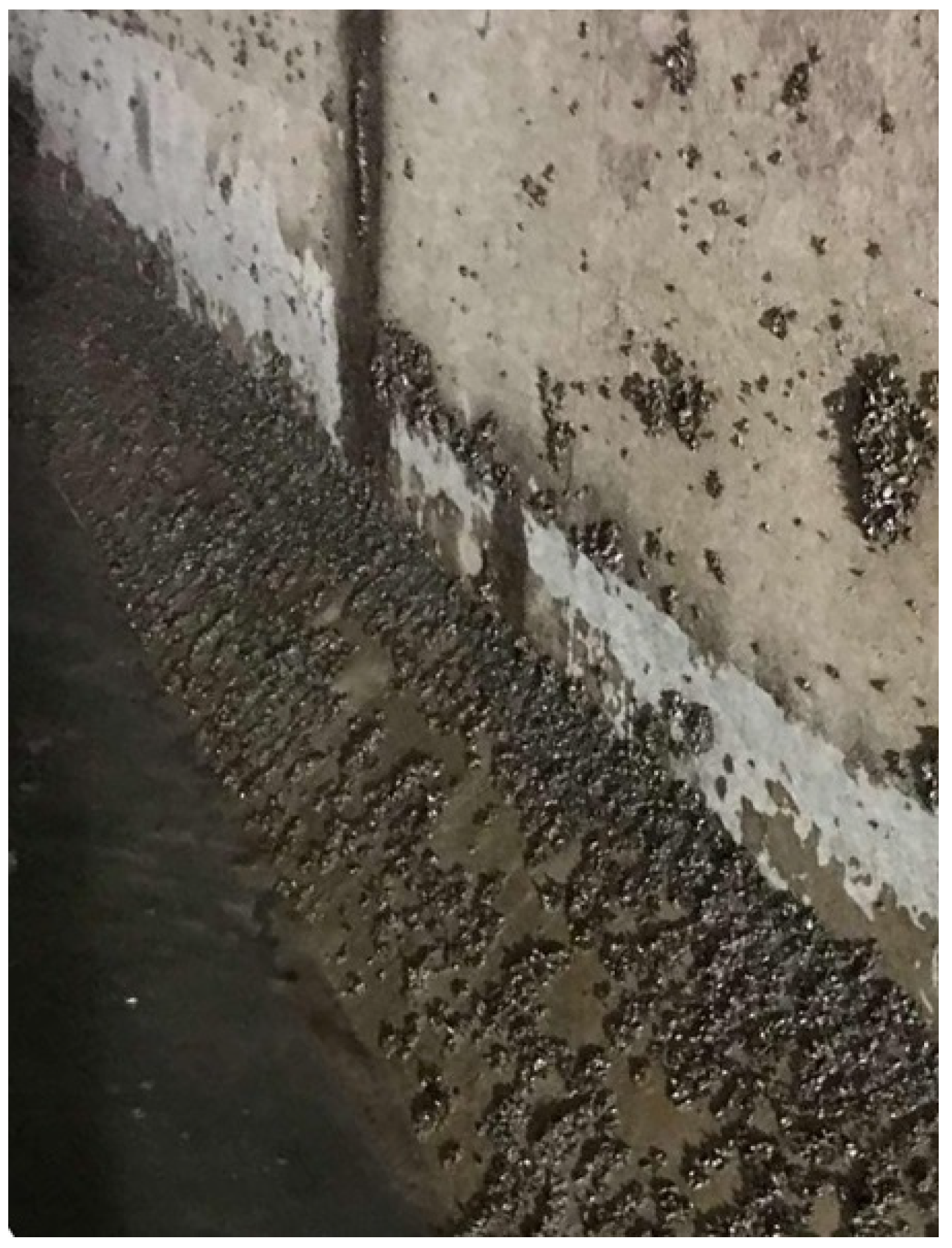 Water 15 00871 g007 Water 15 00871 g007