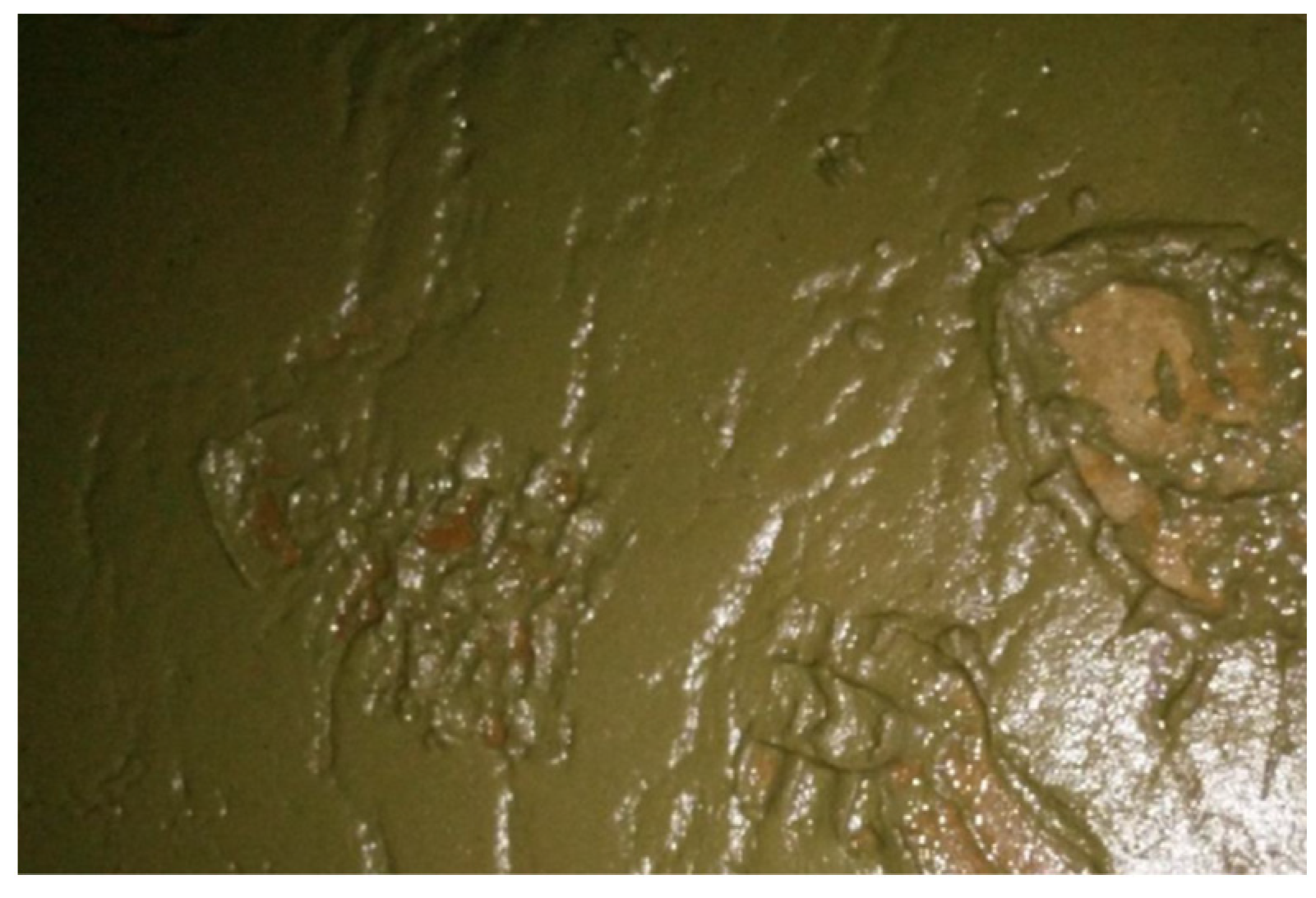 Water 15 00871 g008 Water 15 00871 g008