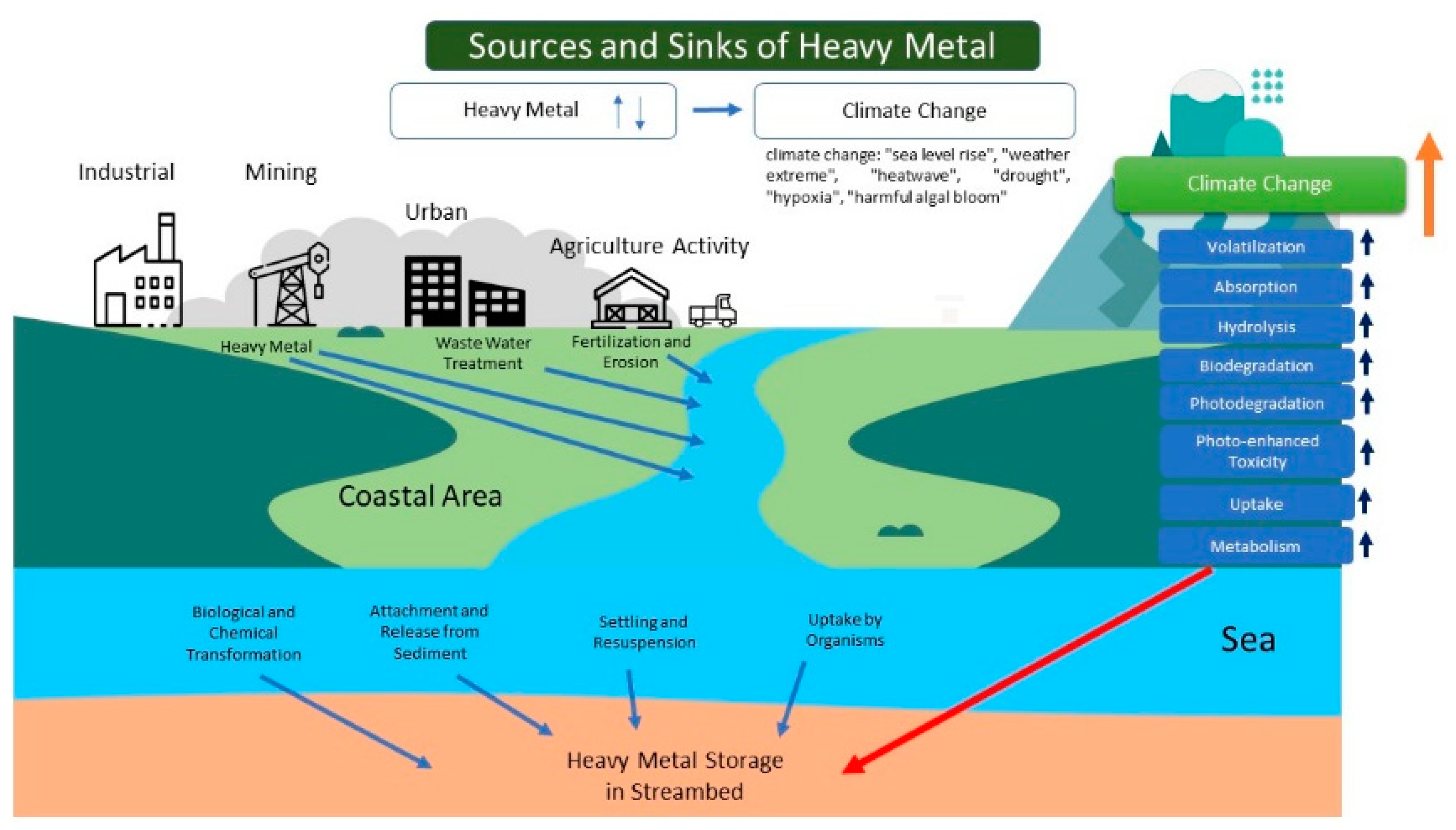 Water | Free Full-Text | Understanding Climate Change and Heavy Metals