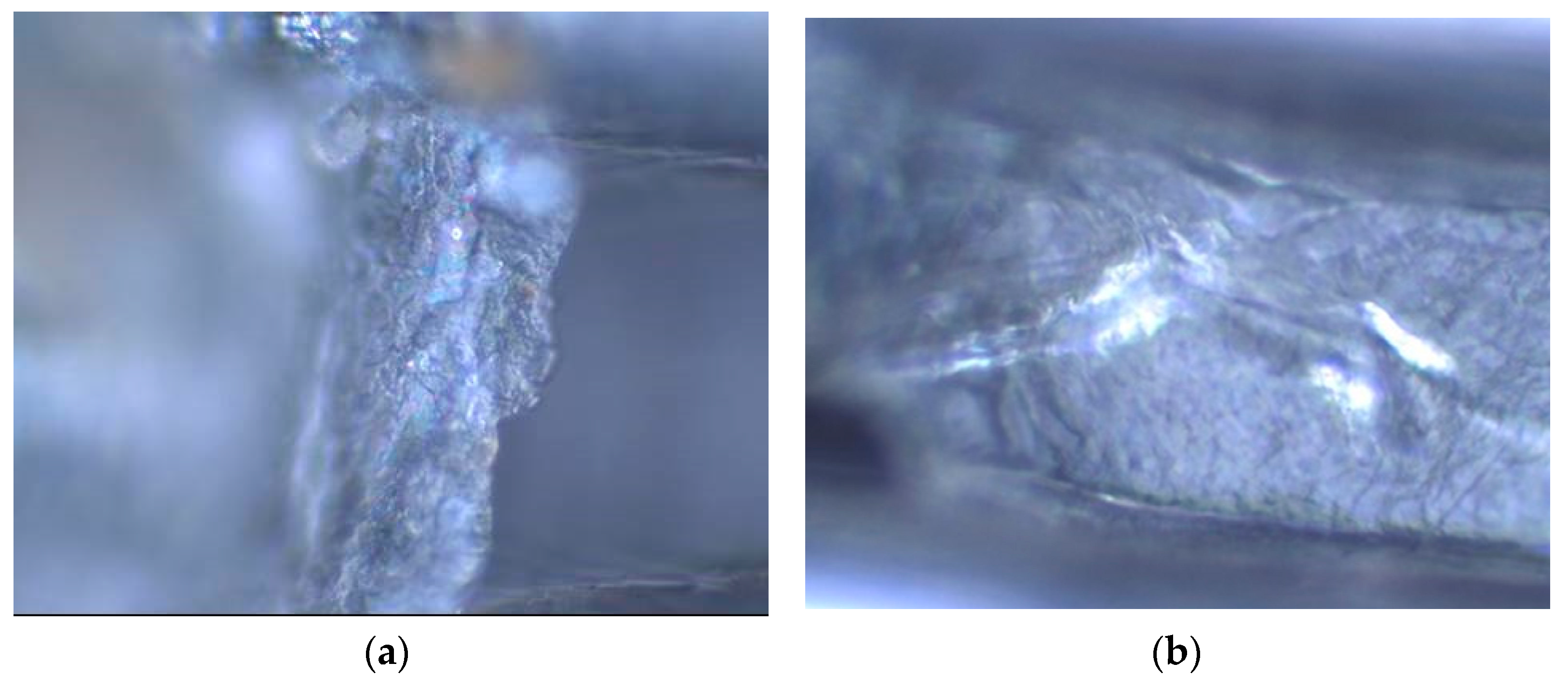 Water 15 00892 g010a