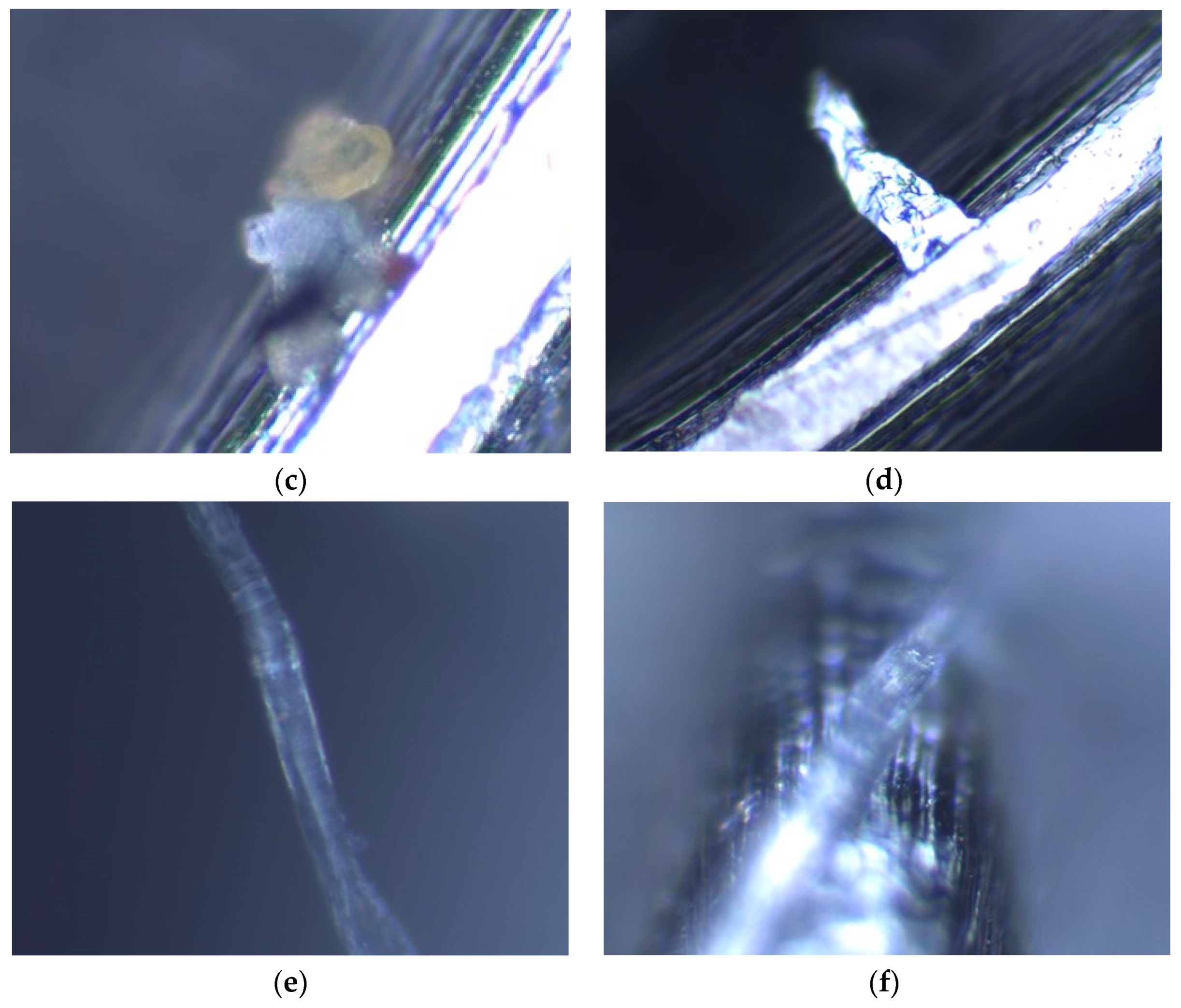 Water 15 00892 g010b