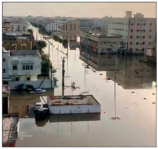 Water Free FullText Mapping and Assessment of Flood Risk in the