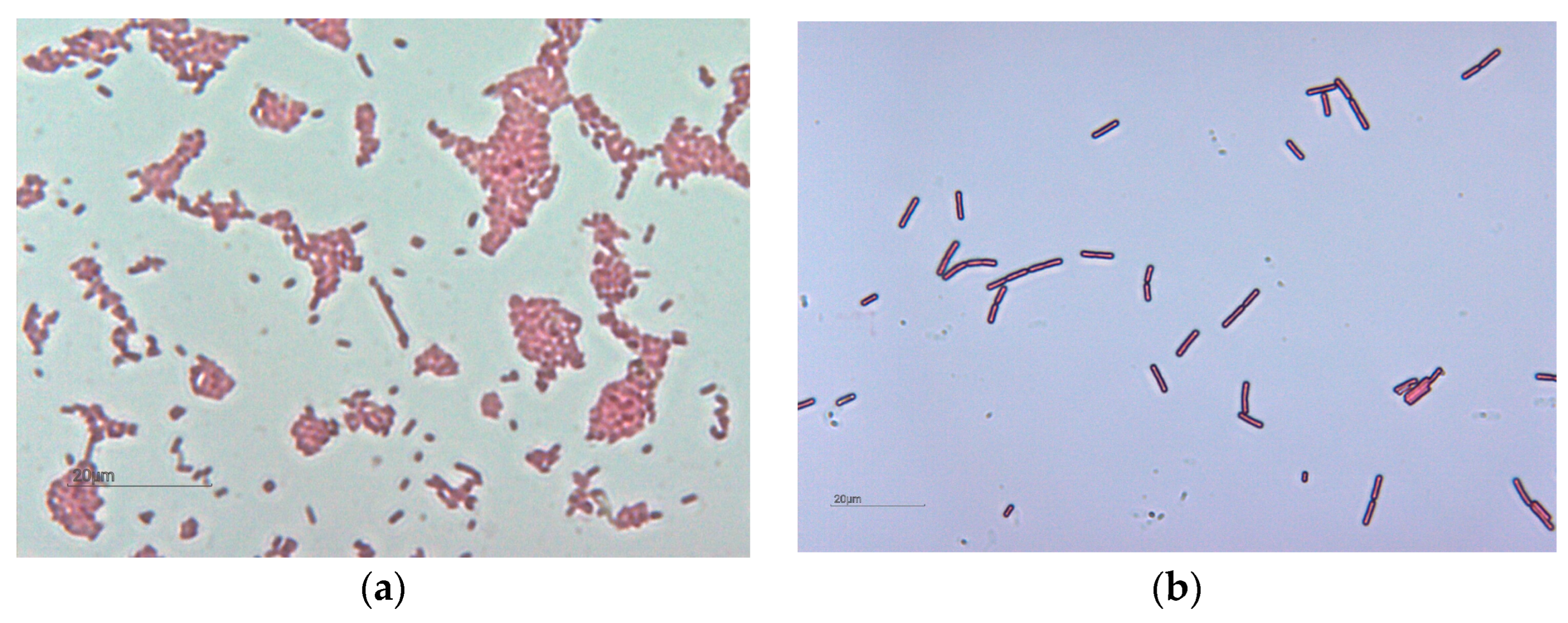 Water 15 00951 g003 Water 15 00951 g003