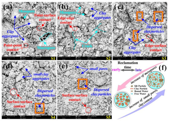 Mechanism Study of Differential Permeability Evolution and