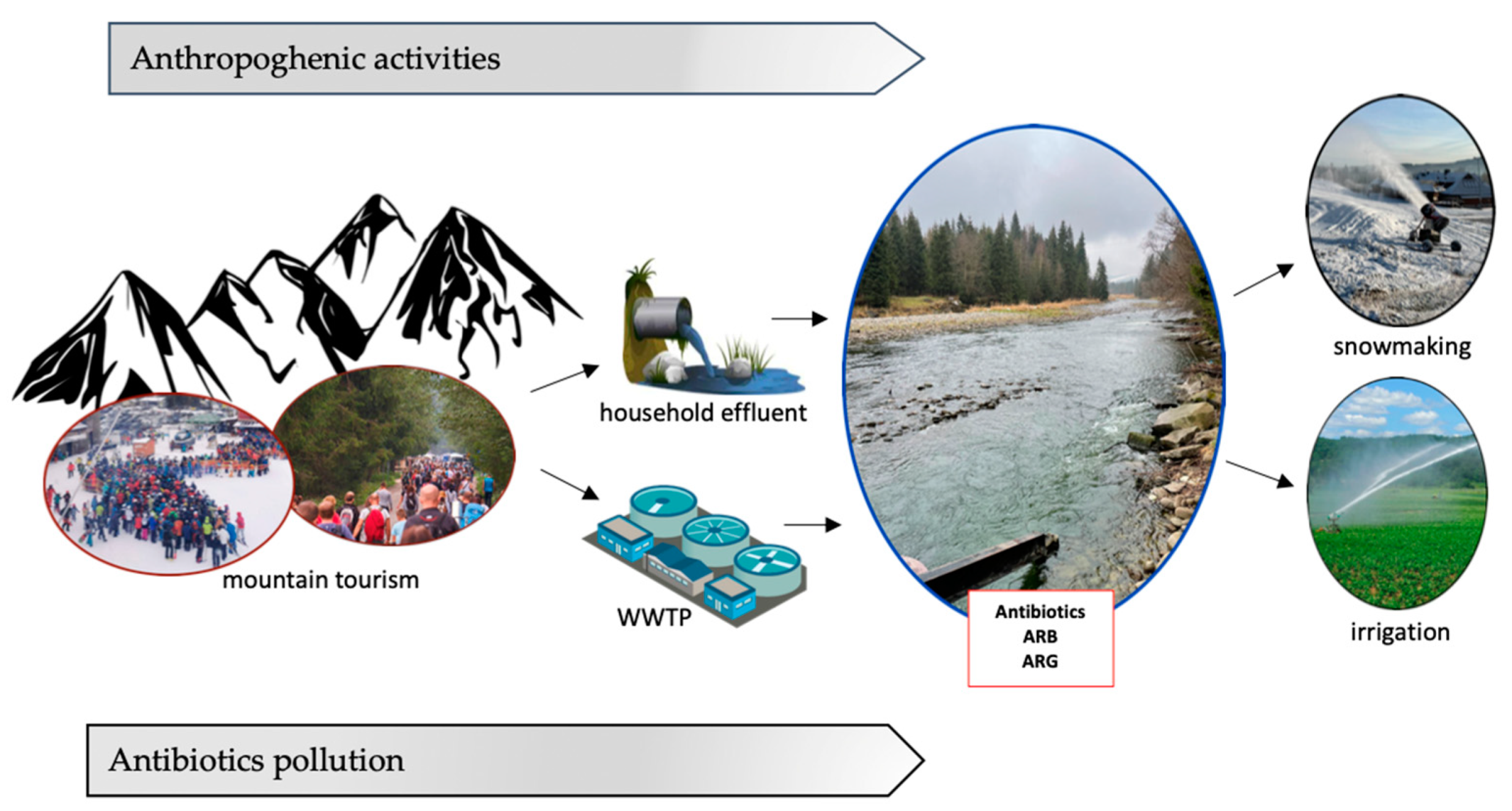 Winners of the Water Toxicity Sensor Challenge– Phase 1