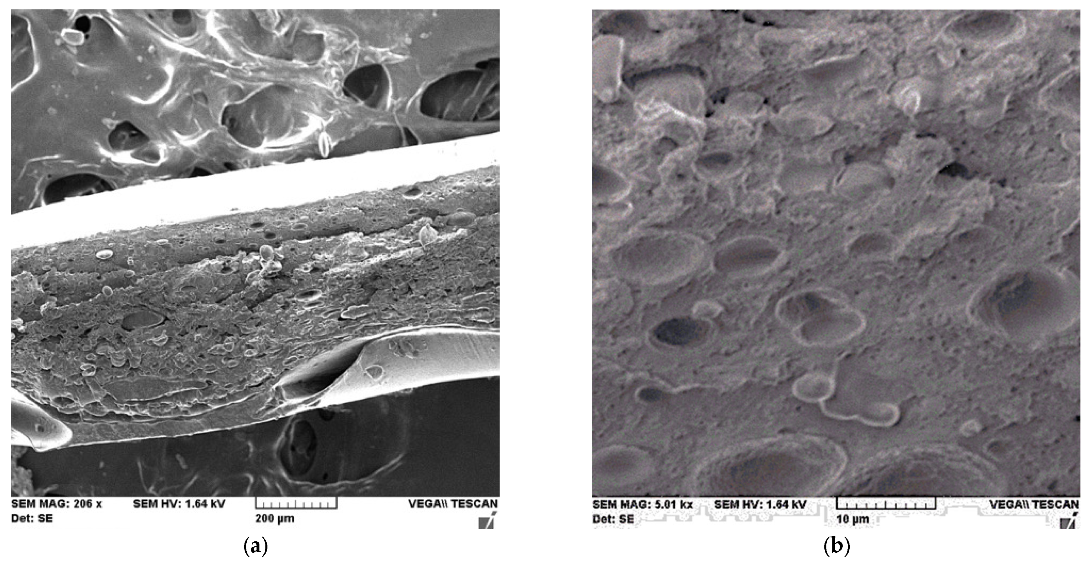 Water 15 00982 g006 Water 15 00982 g006