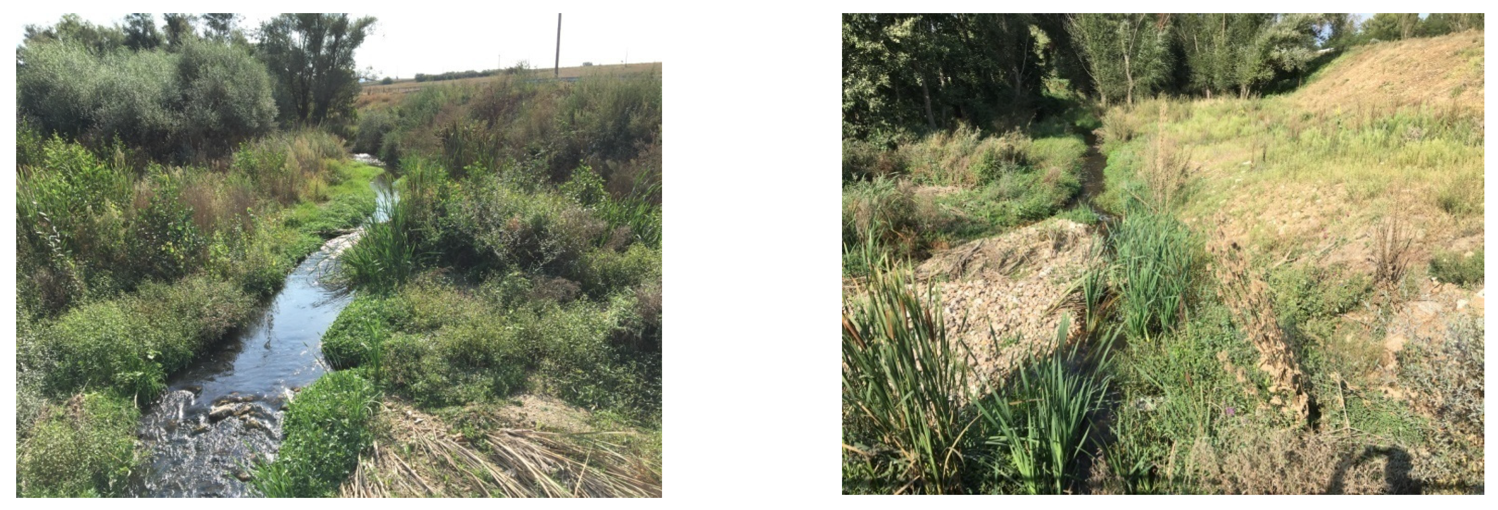 Water 15 00994 g005 Water 15 00994 g005