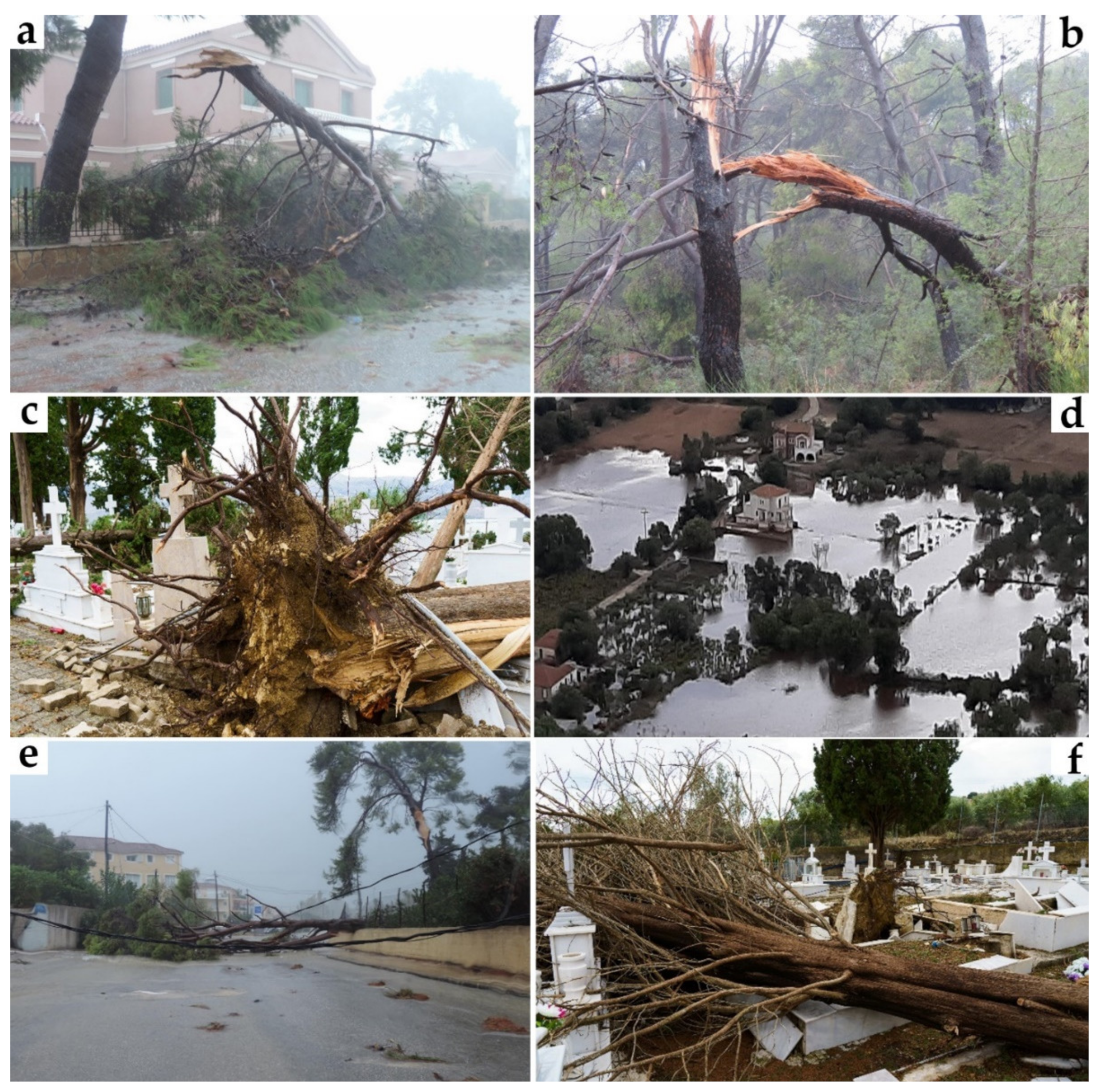 Water 15 01026 g010 Water 15 01026 g010