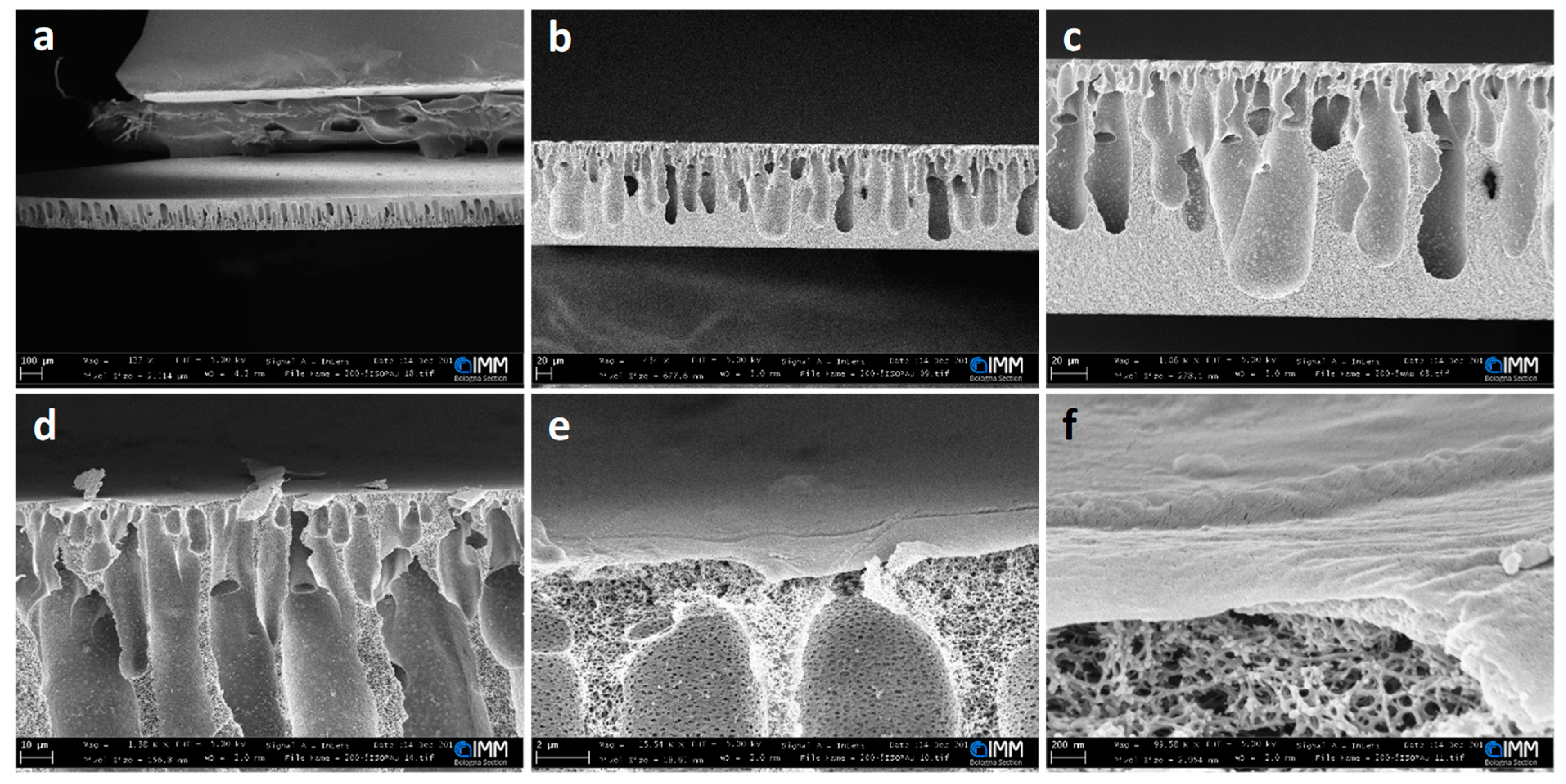 Water 15 01061 g001 Water 15 01061 g001