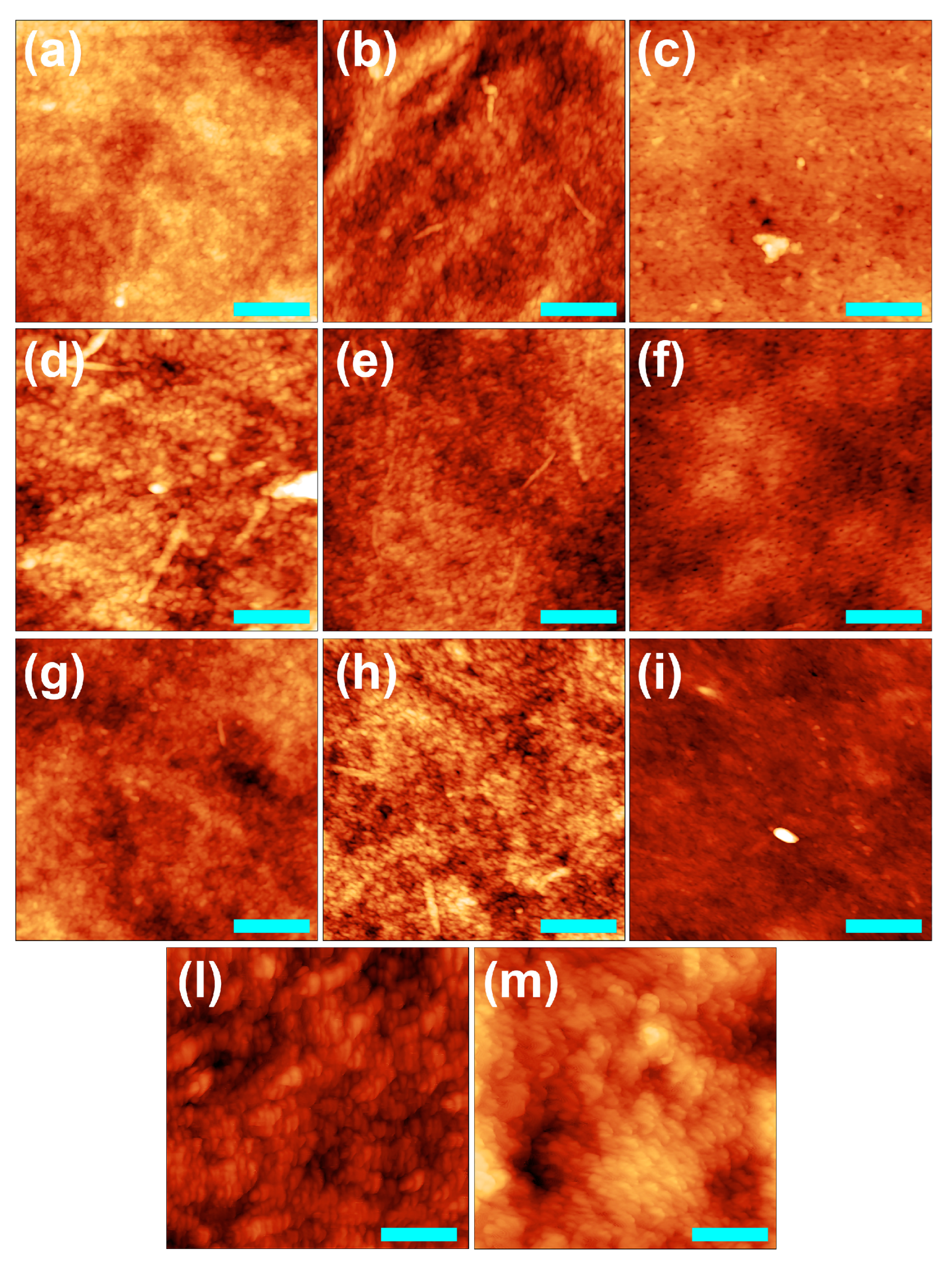 Water 15 01061 g004 Water 15 01061 g004