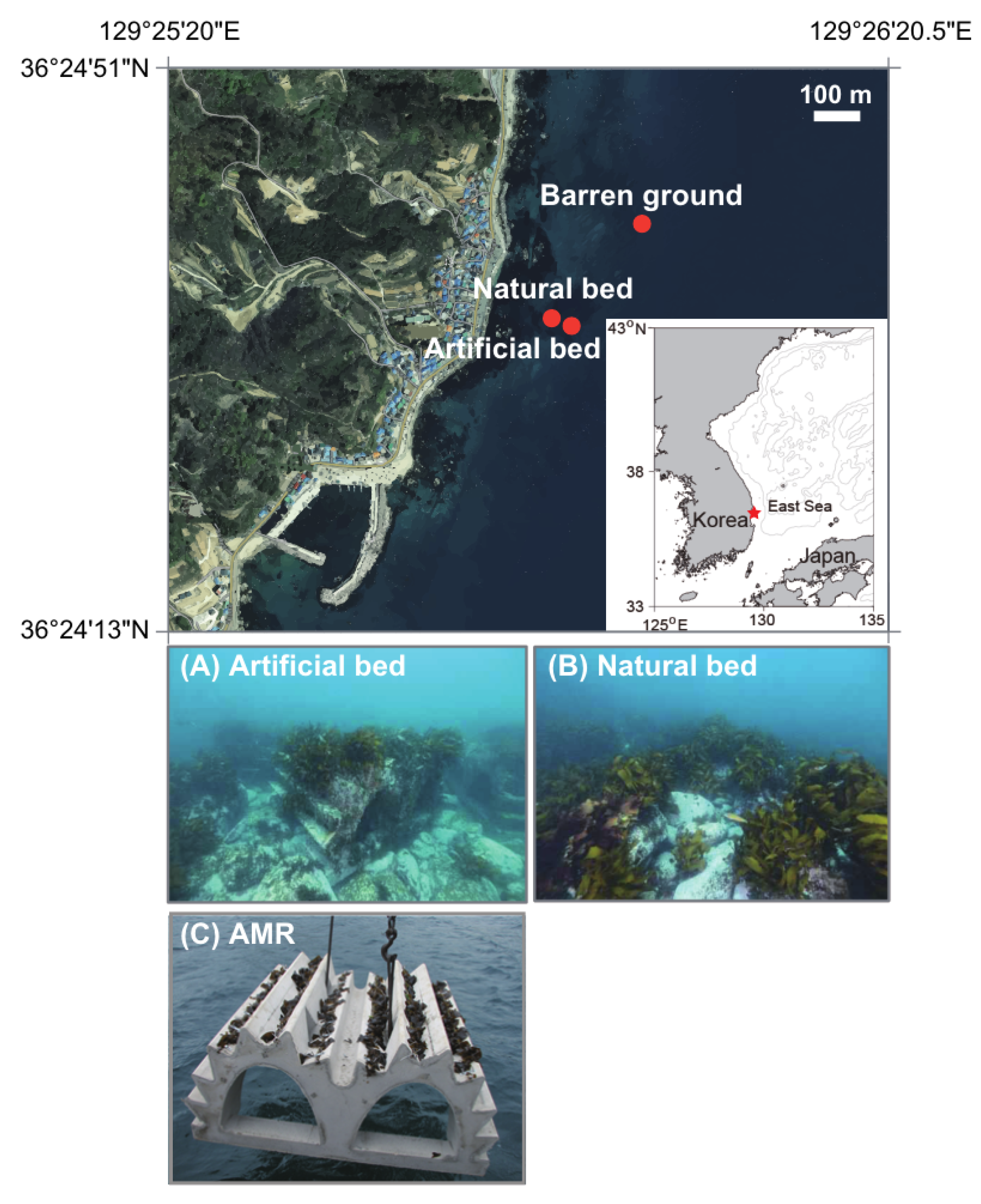 Water 15 01099 g001 Water 15 01099 g001