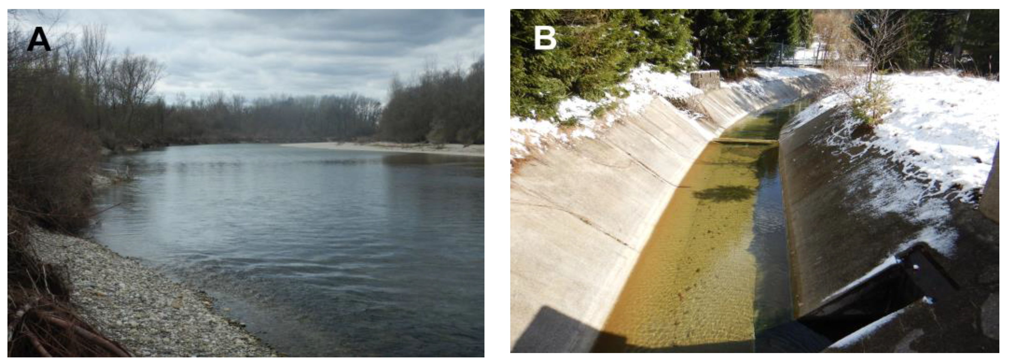 Water 15 01113 g006 Water 15 01113 g006