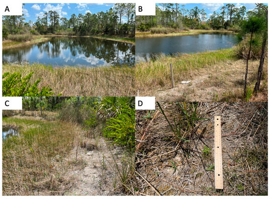 Stormwater Pond Evolution and Challenges in Measuring the Hydraulic ...
