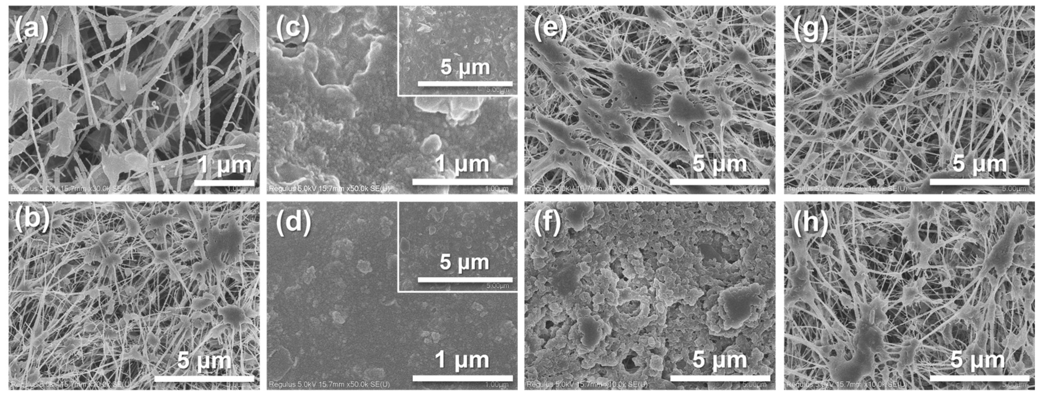 Water 15 01148 g008 Water 15 01148 g008