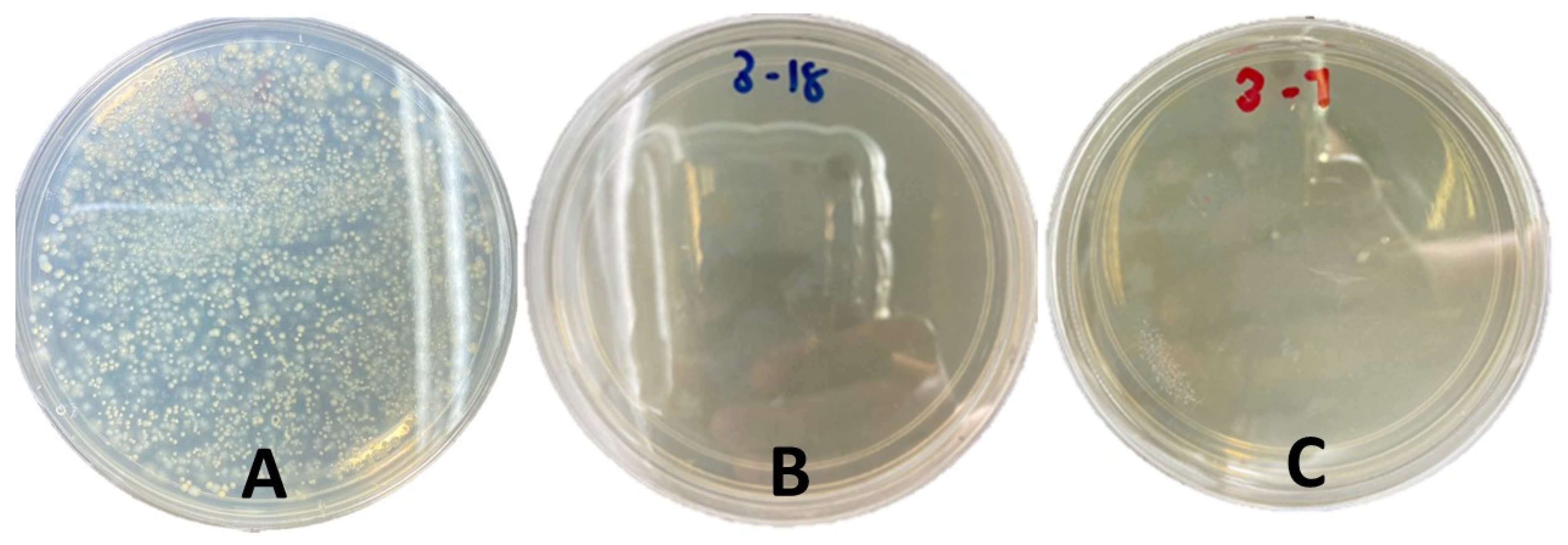 Water 15 01172 g014 Water 15 01172 g014