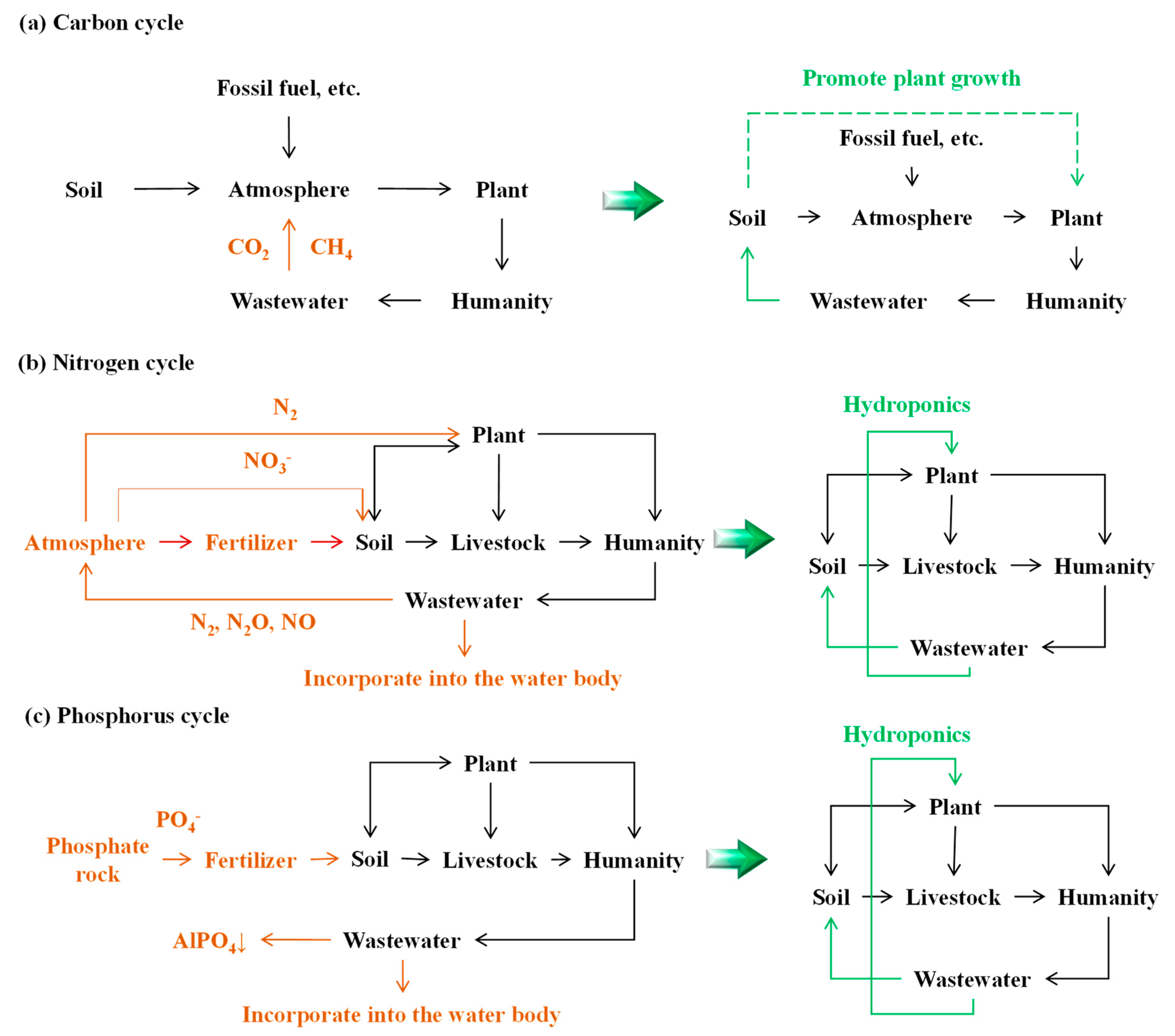 Water 15 01196 g008 Water 15 01196 g008