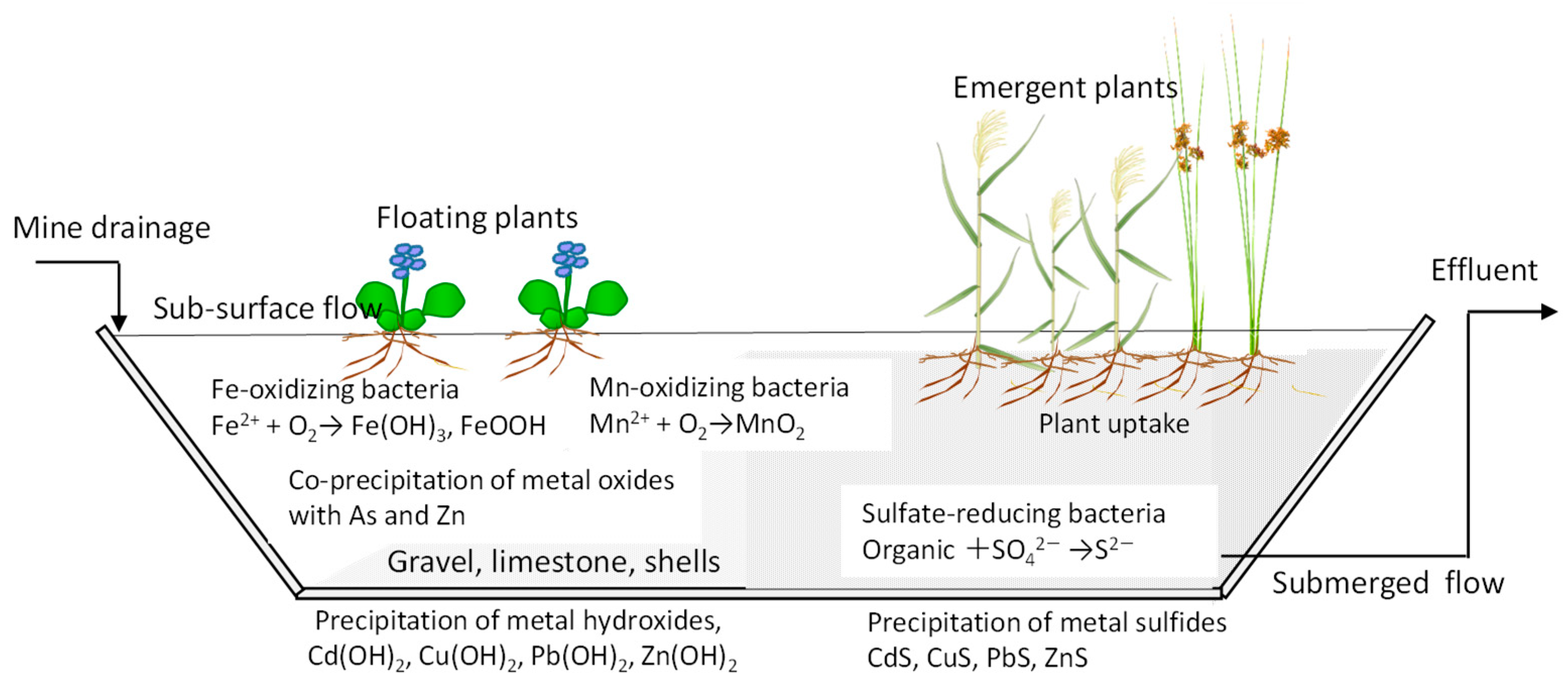 Water 15 01258 g001 Water 15 01258 g001