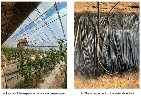 Simulation of Soil Water Movement and Root Uptake under Mulched