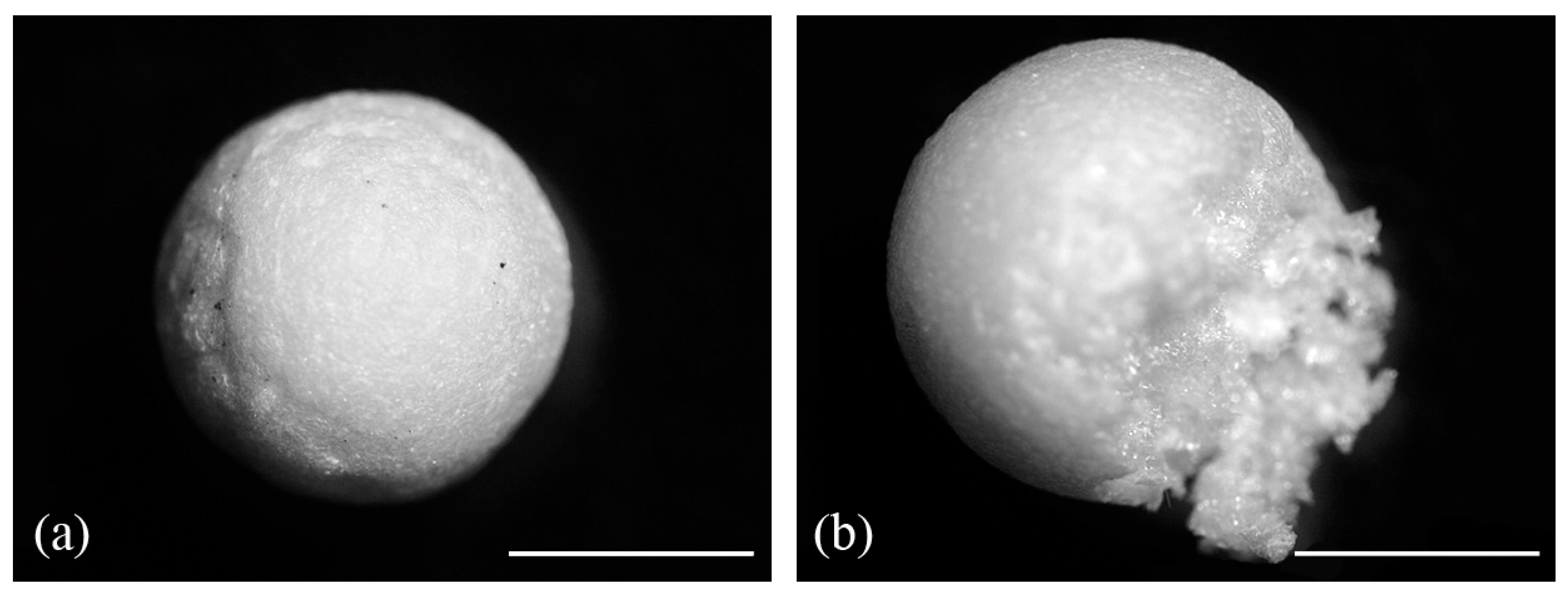 Water 15 01294 g002 Water 15 01294 g002