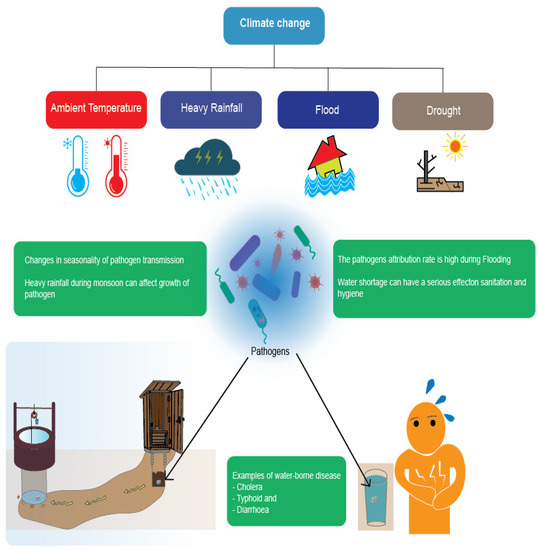 Water Free FullText Impact of Climate Change on Waterborne Diseases Directions towards