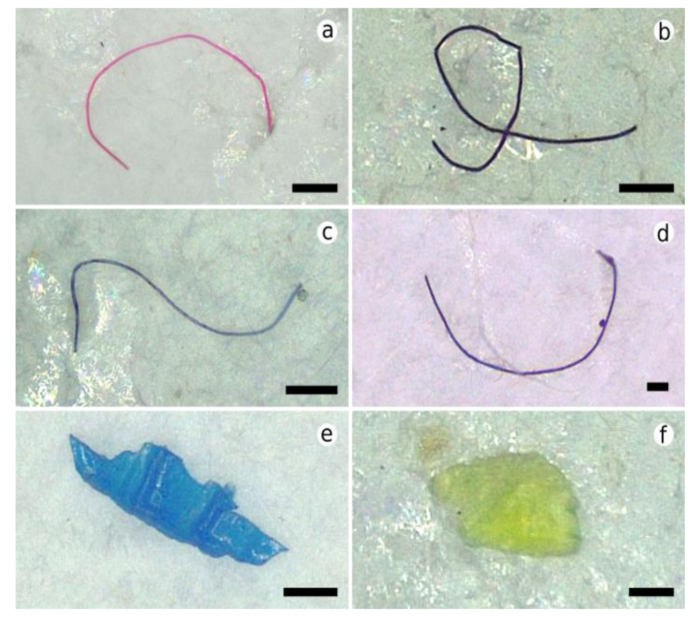 Water 15 01312 g003 Water 15 01312 g003