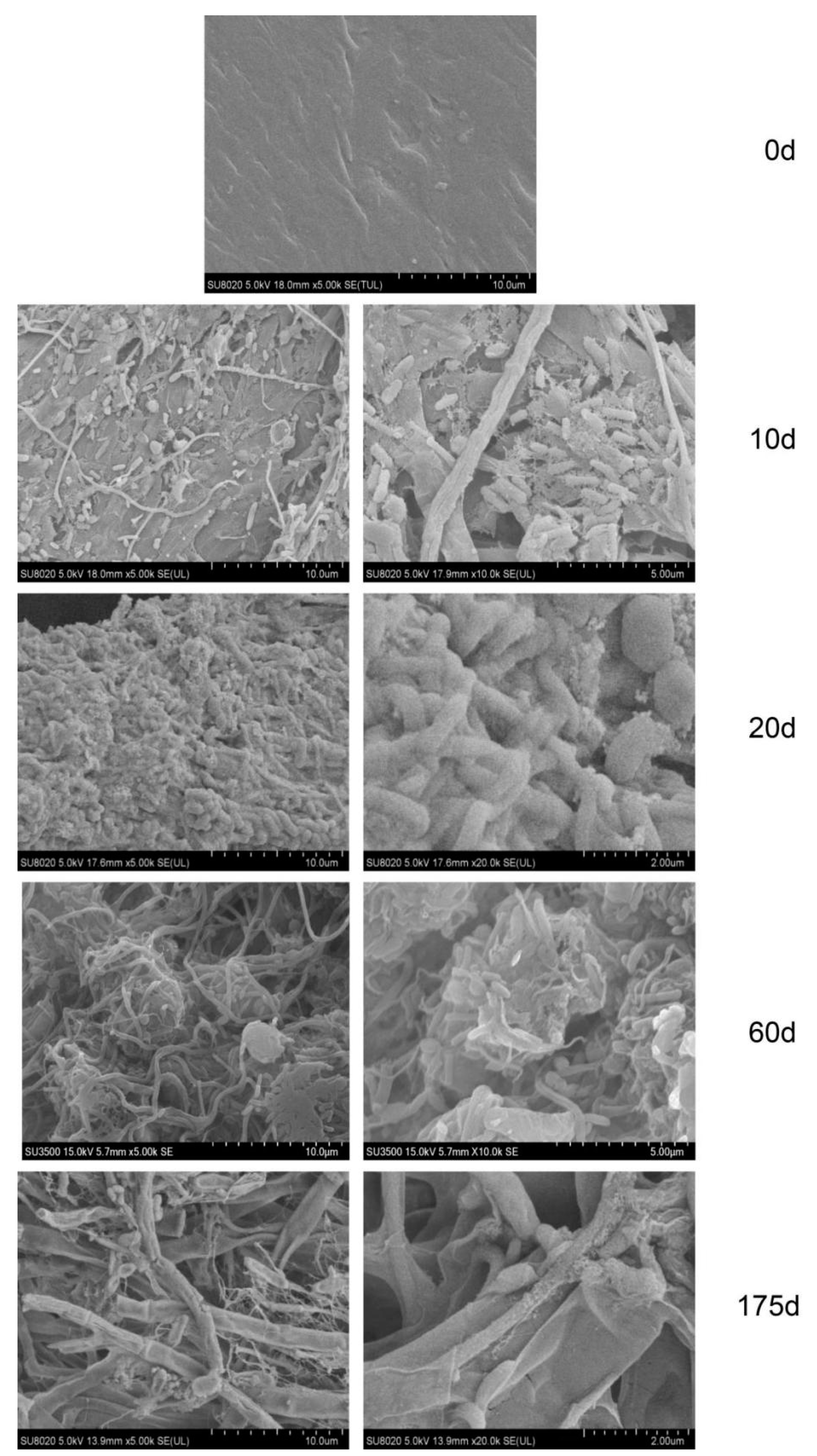 Water 15 01323 g003 Water 15 01323 g003