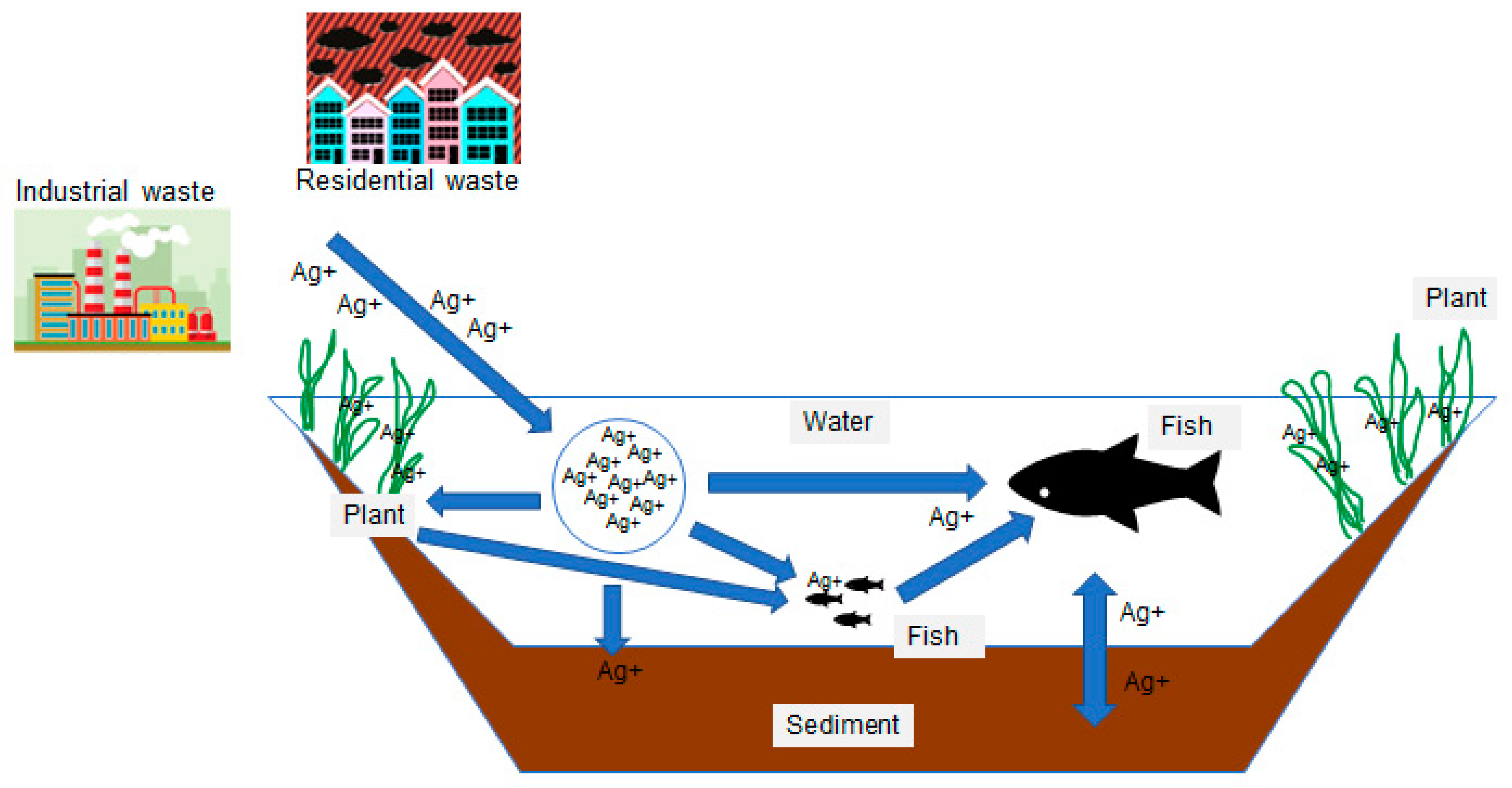 Water Free FullText Distribution of Silver (Ag) and Silver