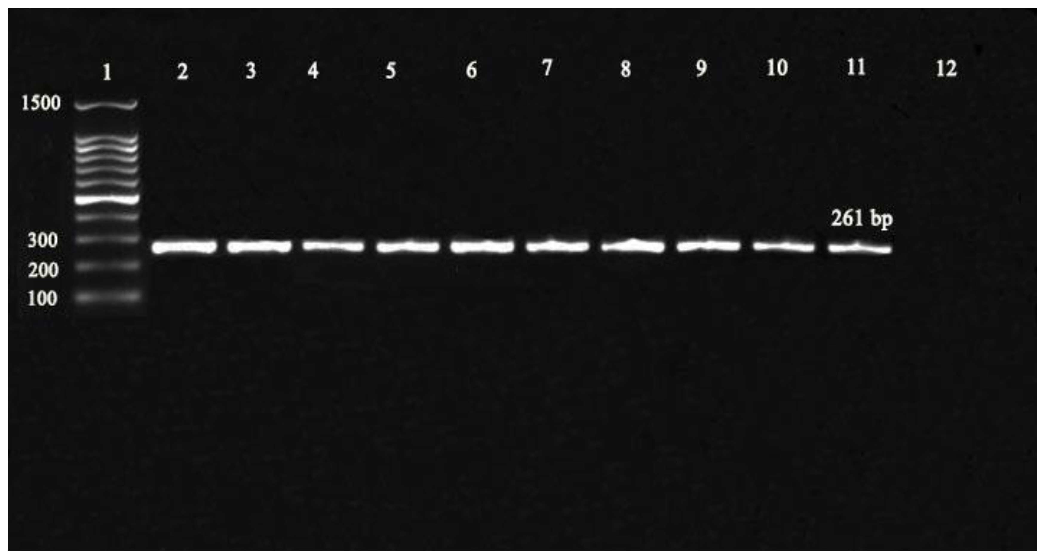 Water 15 01367 g002 Water 15 01367 g002