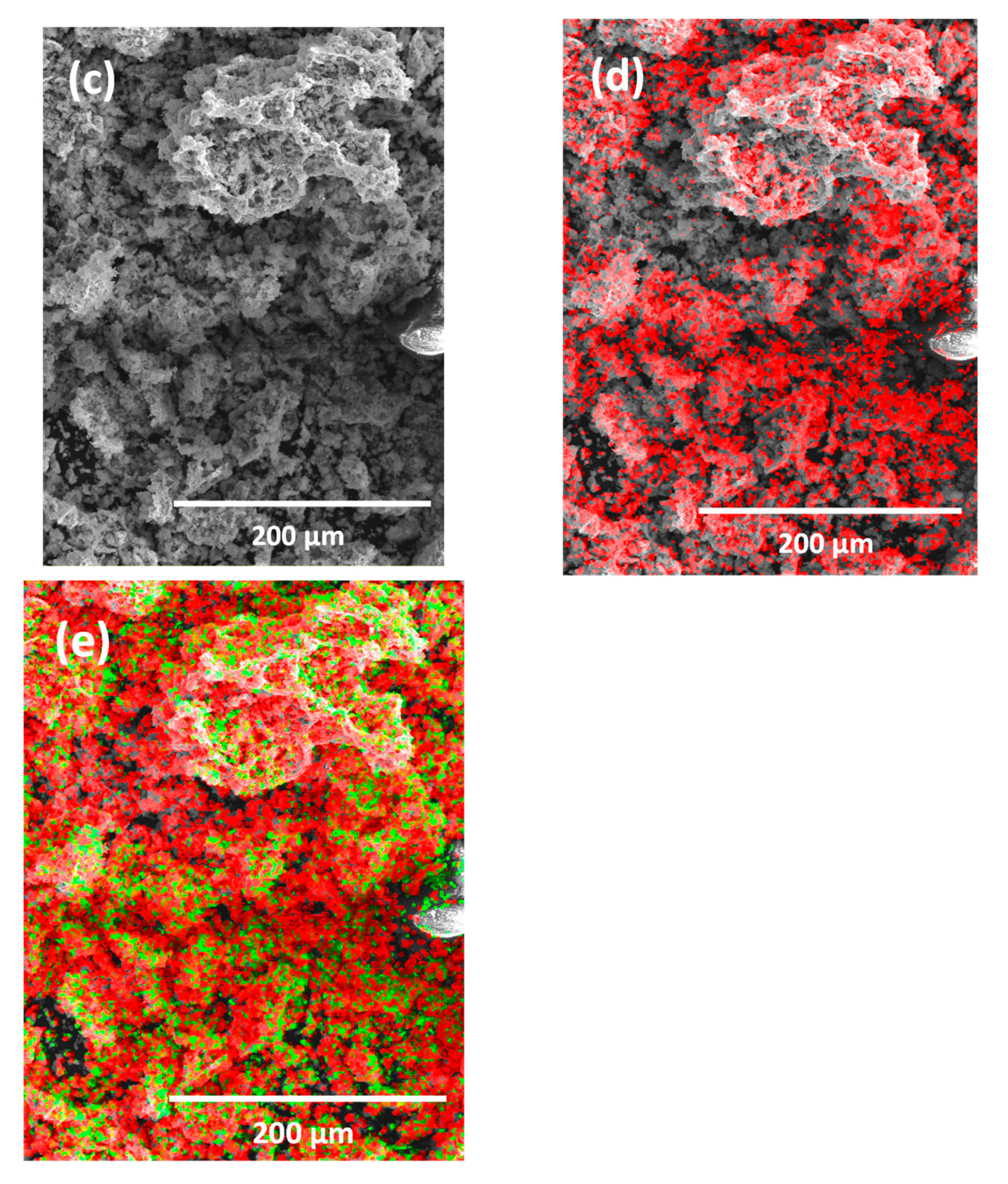 Water 15 01370 g003b