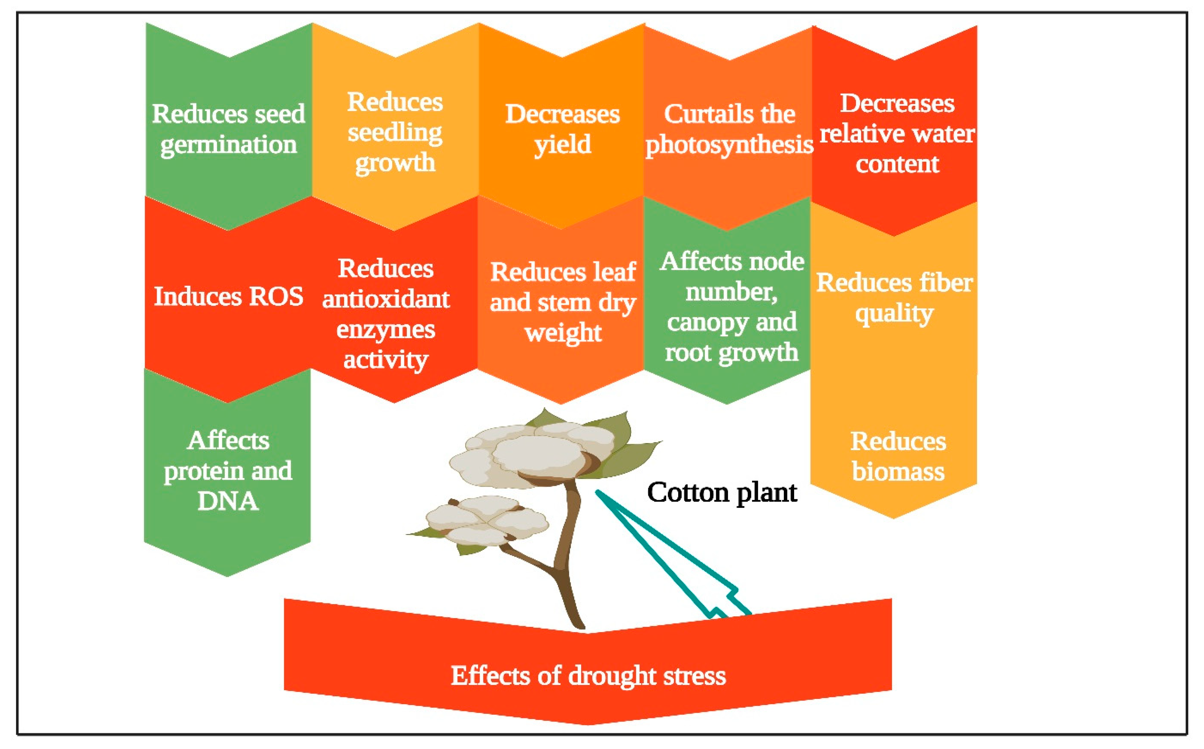 Water 15 01377 g001 Water 15 01377 g001