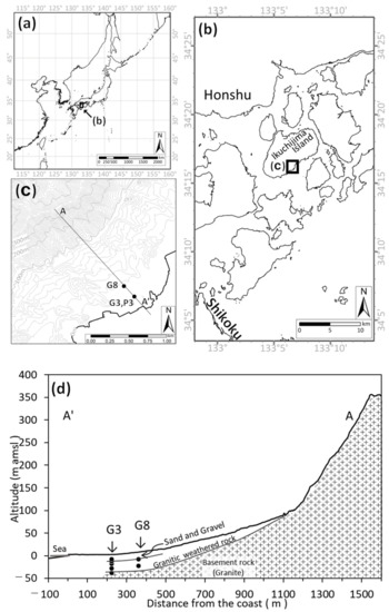 Groundwater Dynamics near the Saltwater–Freshwater Interface