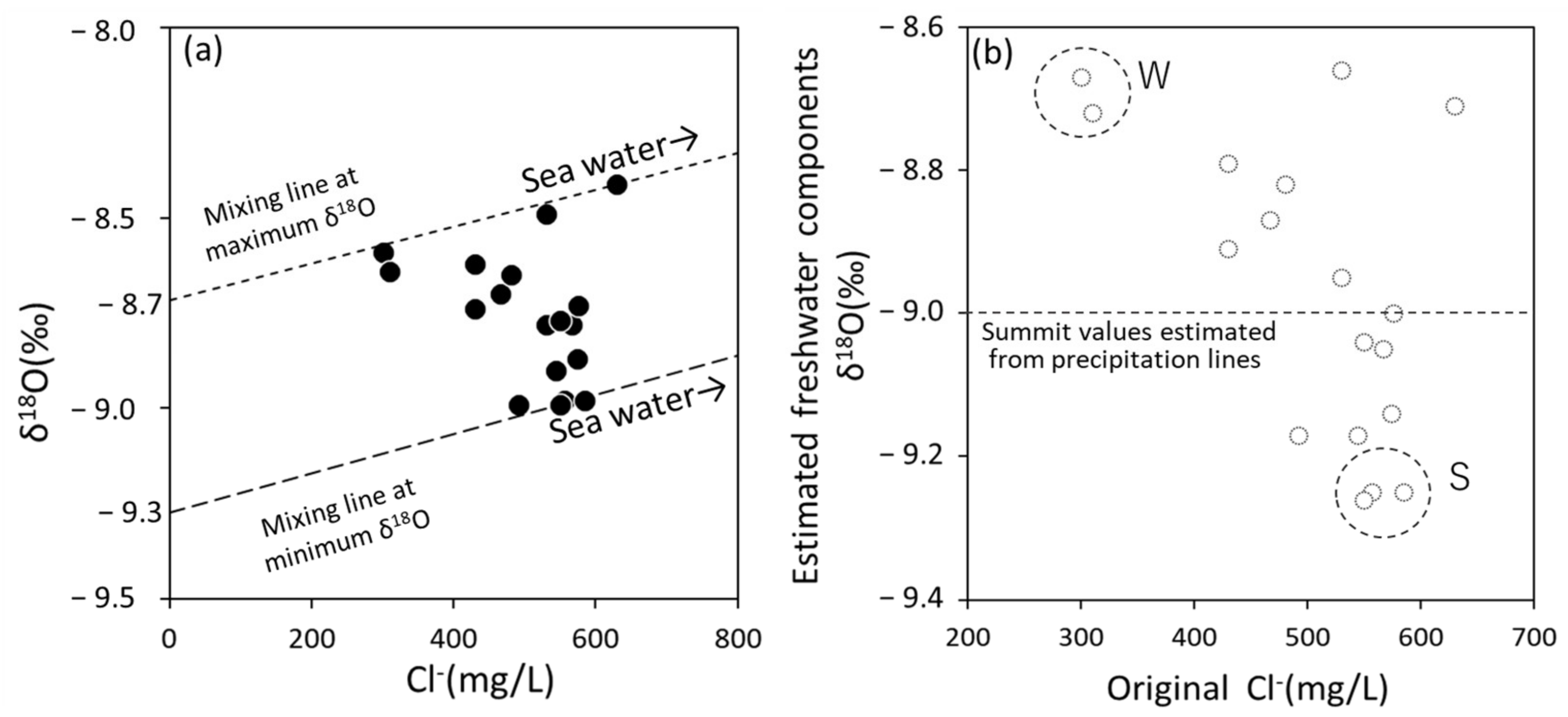 Groundwater Dynamics near the Saltwater–Freshwater Interface