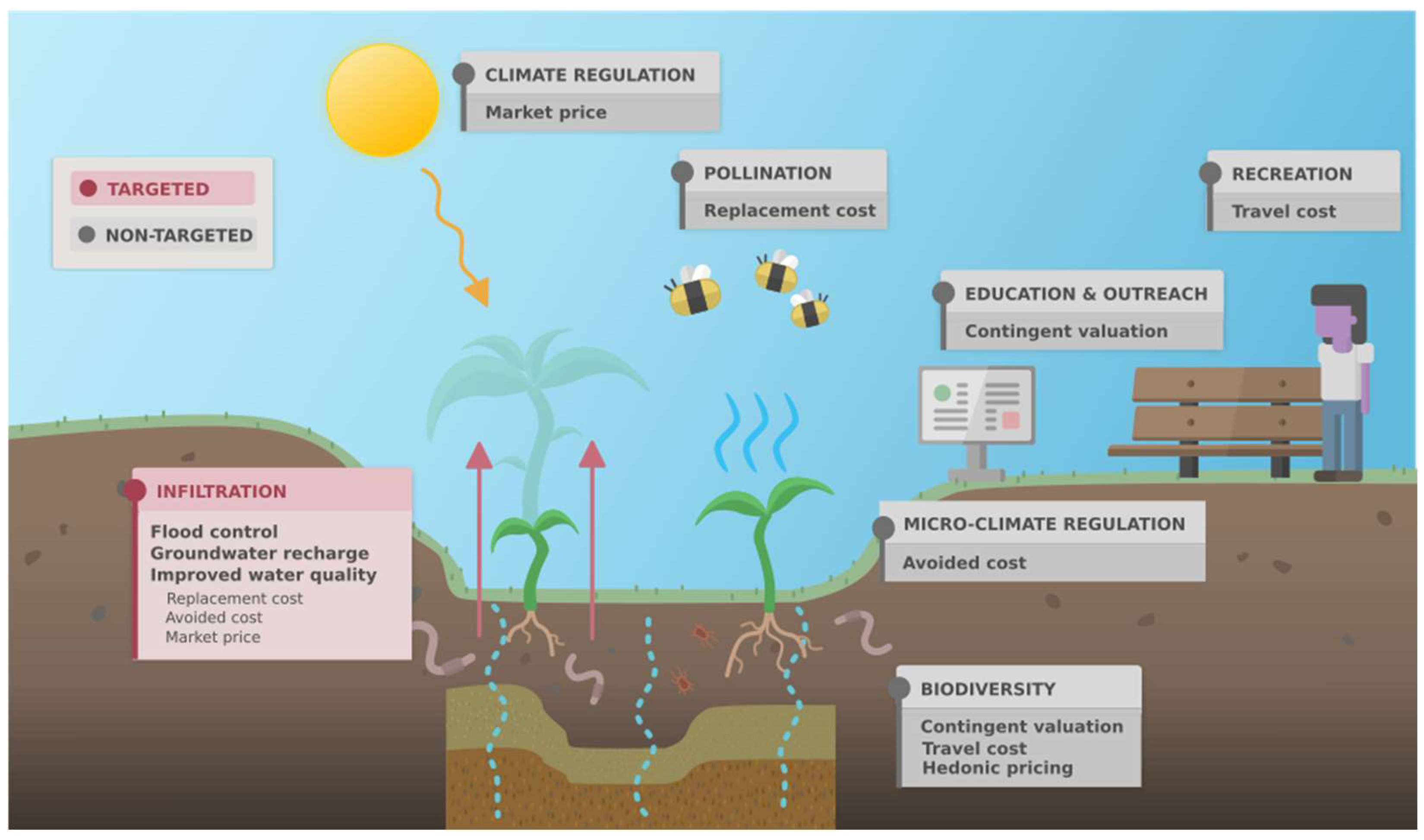 Groundwater ecosystem services: a review