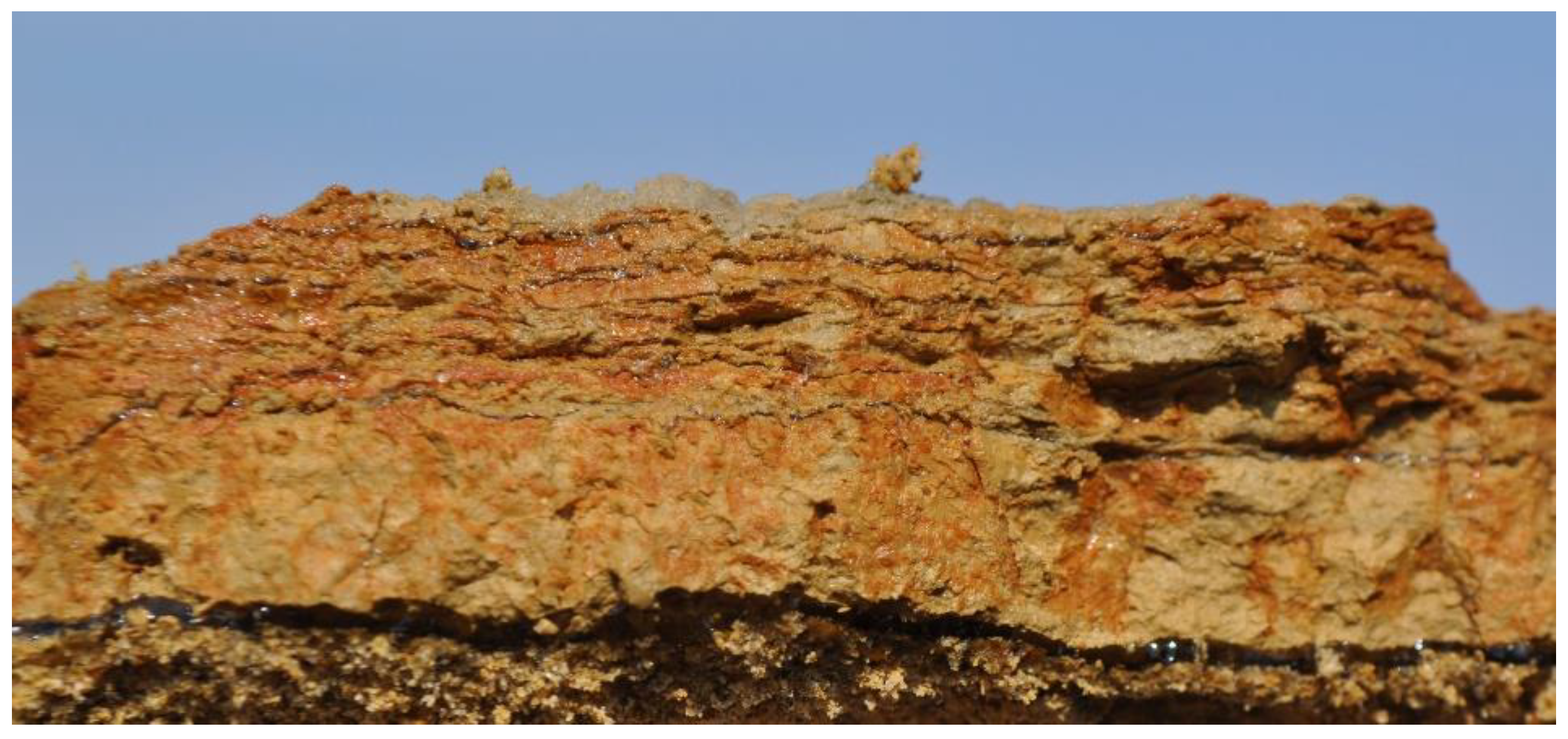 Water 15 01476 g003 Water 15 01476 g003