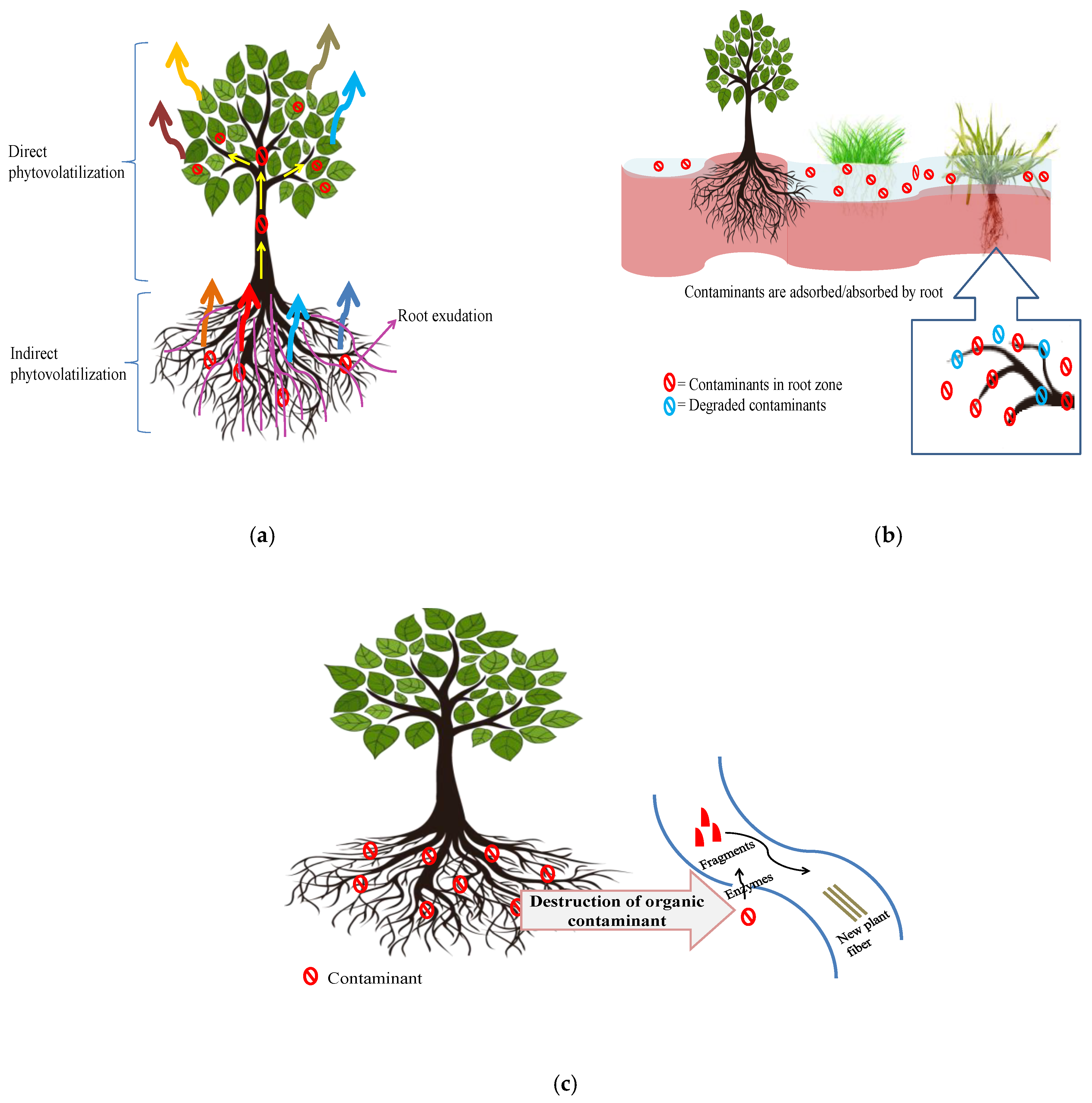 Water 15 01498 g005 Water 15 01498 g005