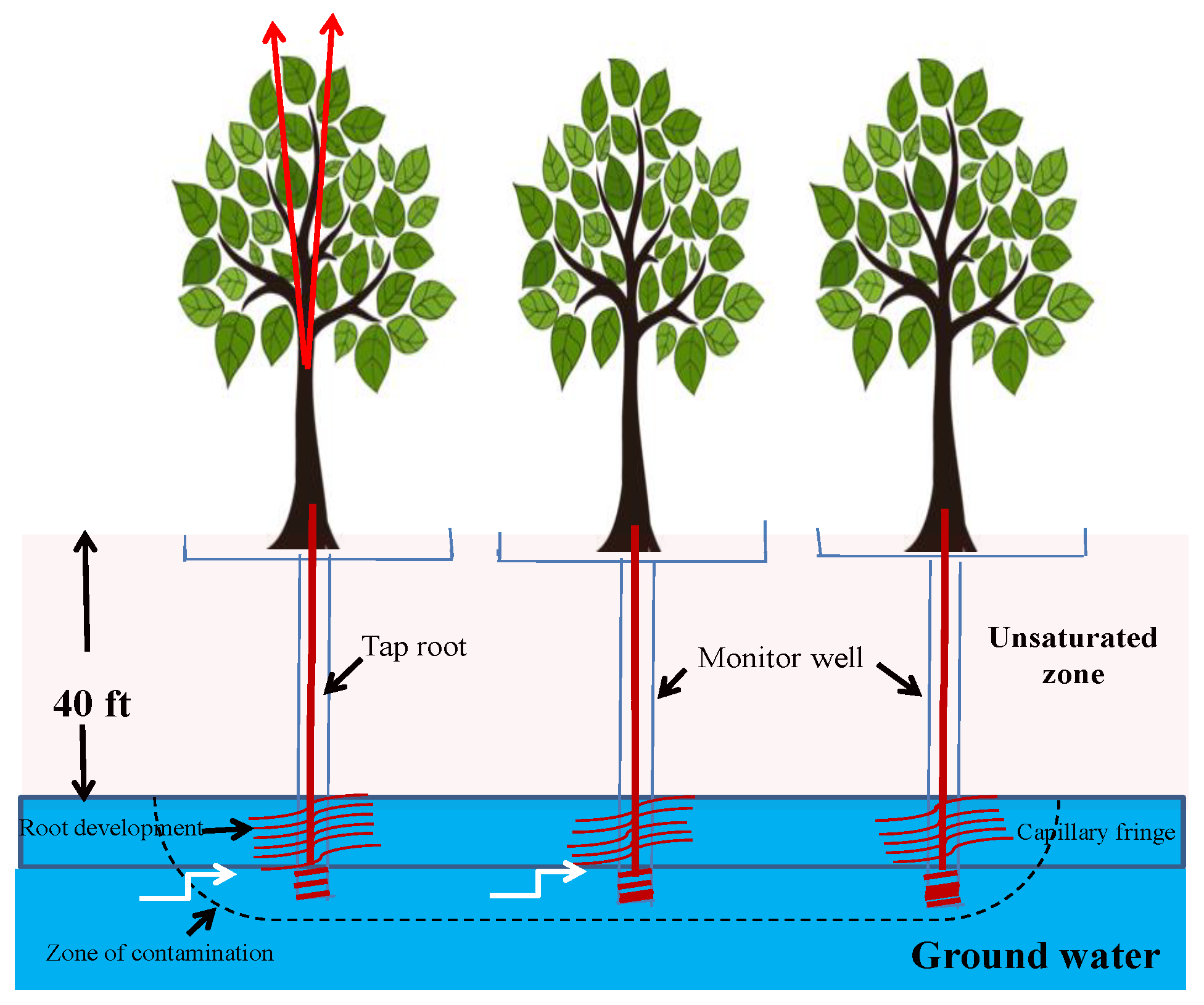 Water 15 01498 g007 Water 15 01498 g007